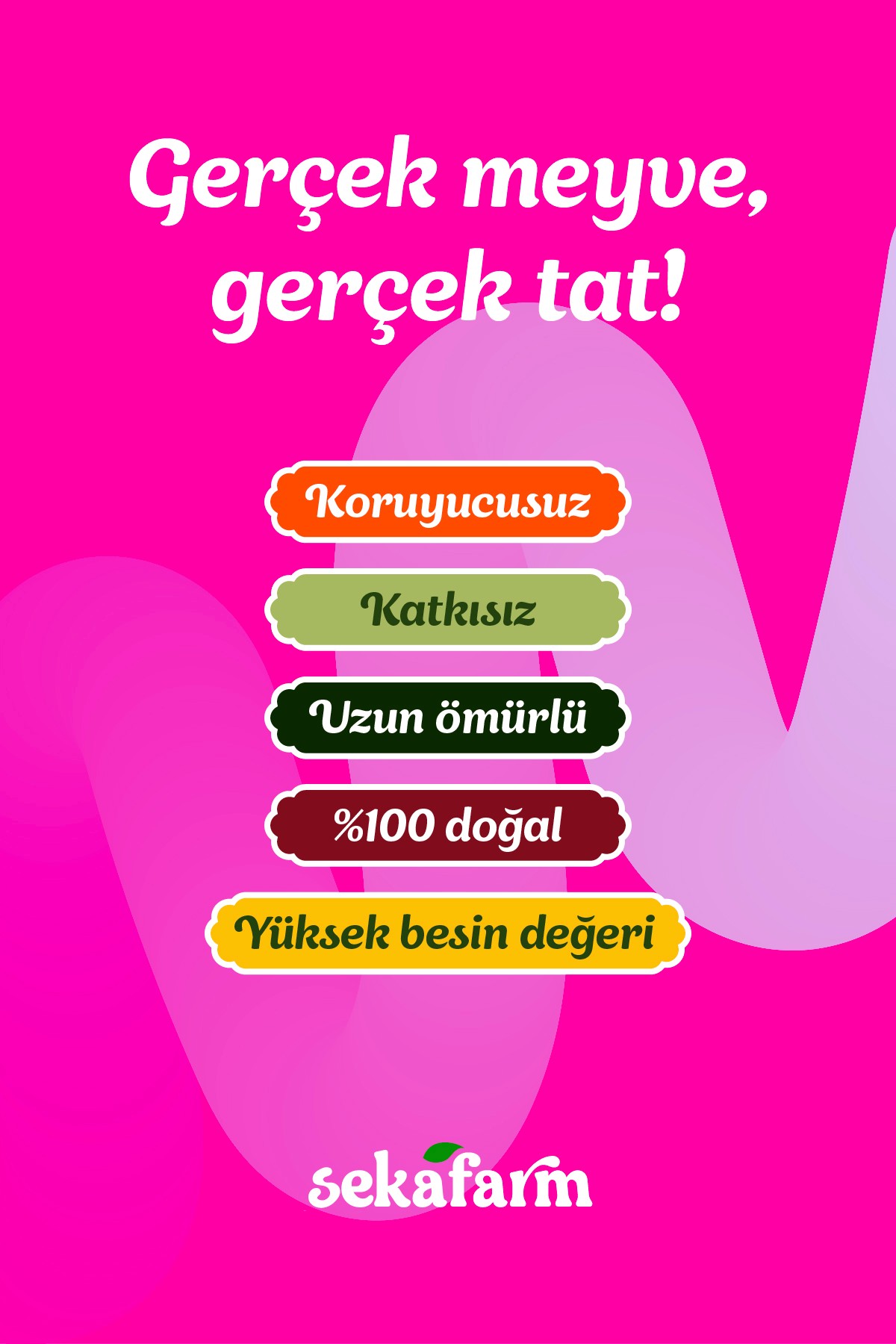 Dondurularak Kurutulmuş Ejder Meyvesi 30 Gr
