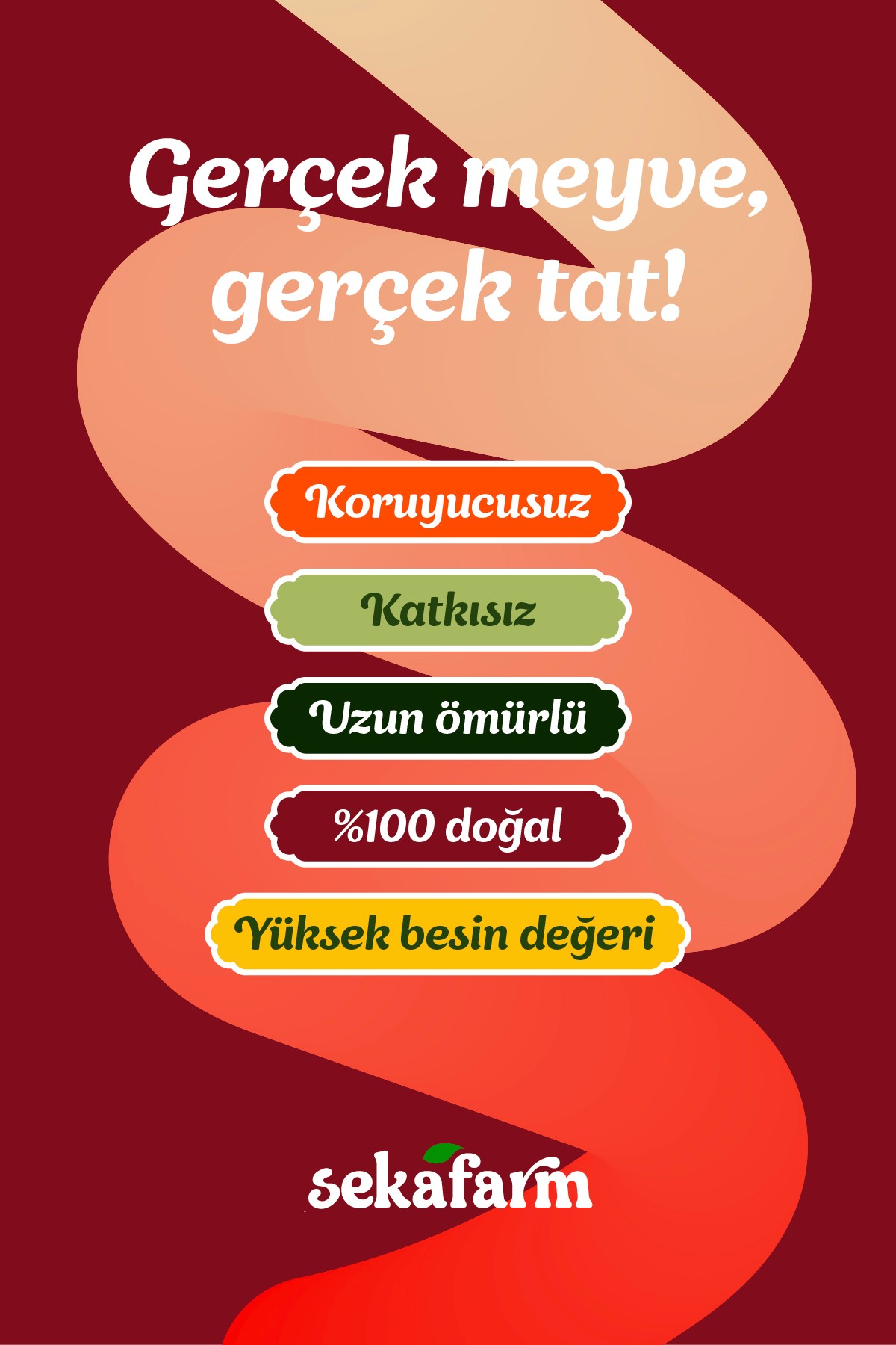 Dondurularak Kurutulmuş Elma 20 Gr