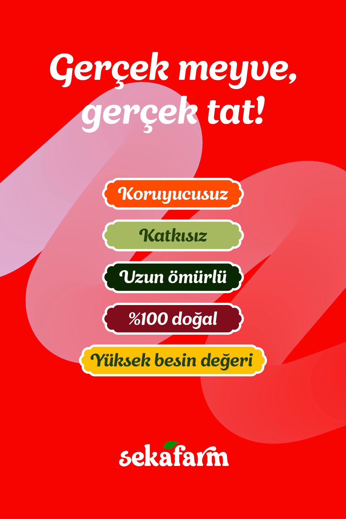 Dondurularak Kurutulmuş Çilek 20 Gr