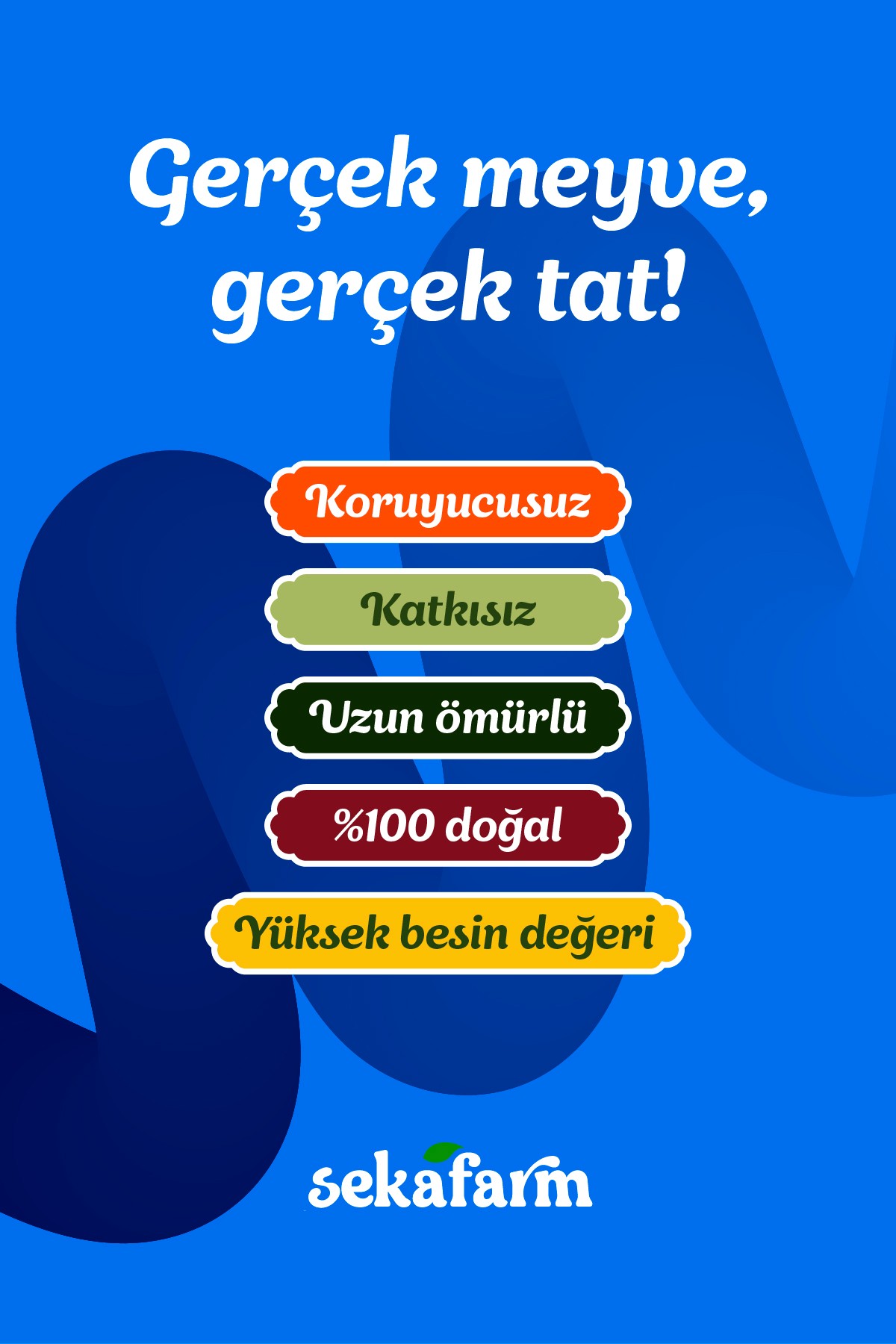 Dondurularak Kurutulmuş Yaban Mersini 20 Gr