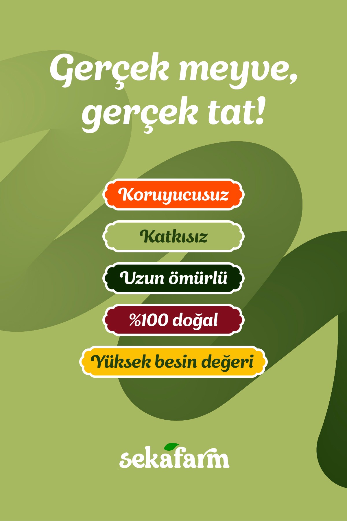 Dondurularak Kurutulmuş Kivi 25 Gr