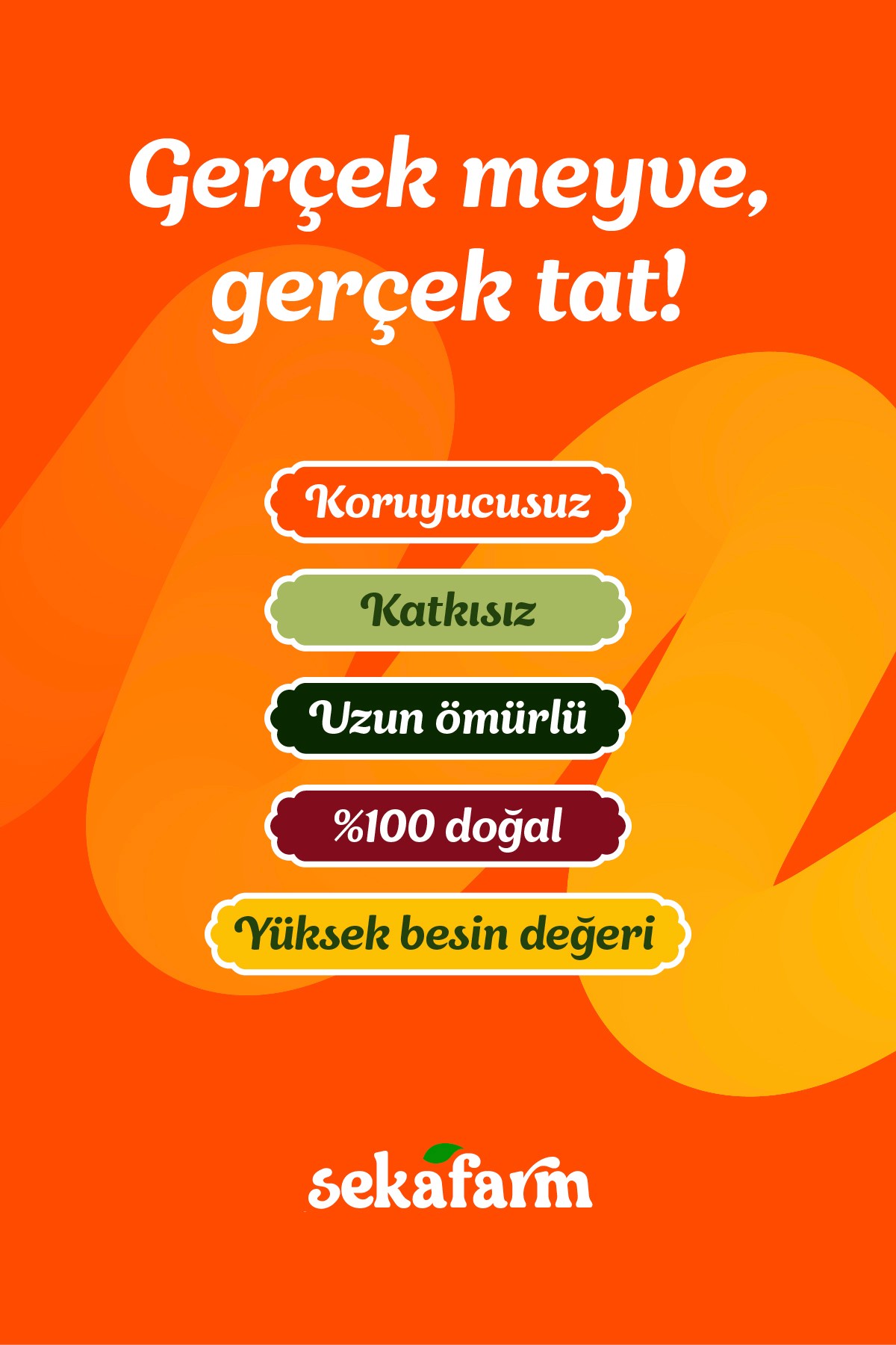 Dondurularak Kurutulmuş Portakal 20 Gr