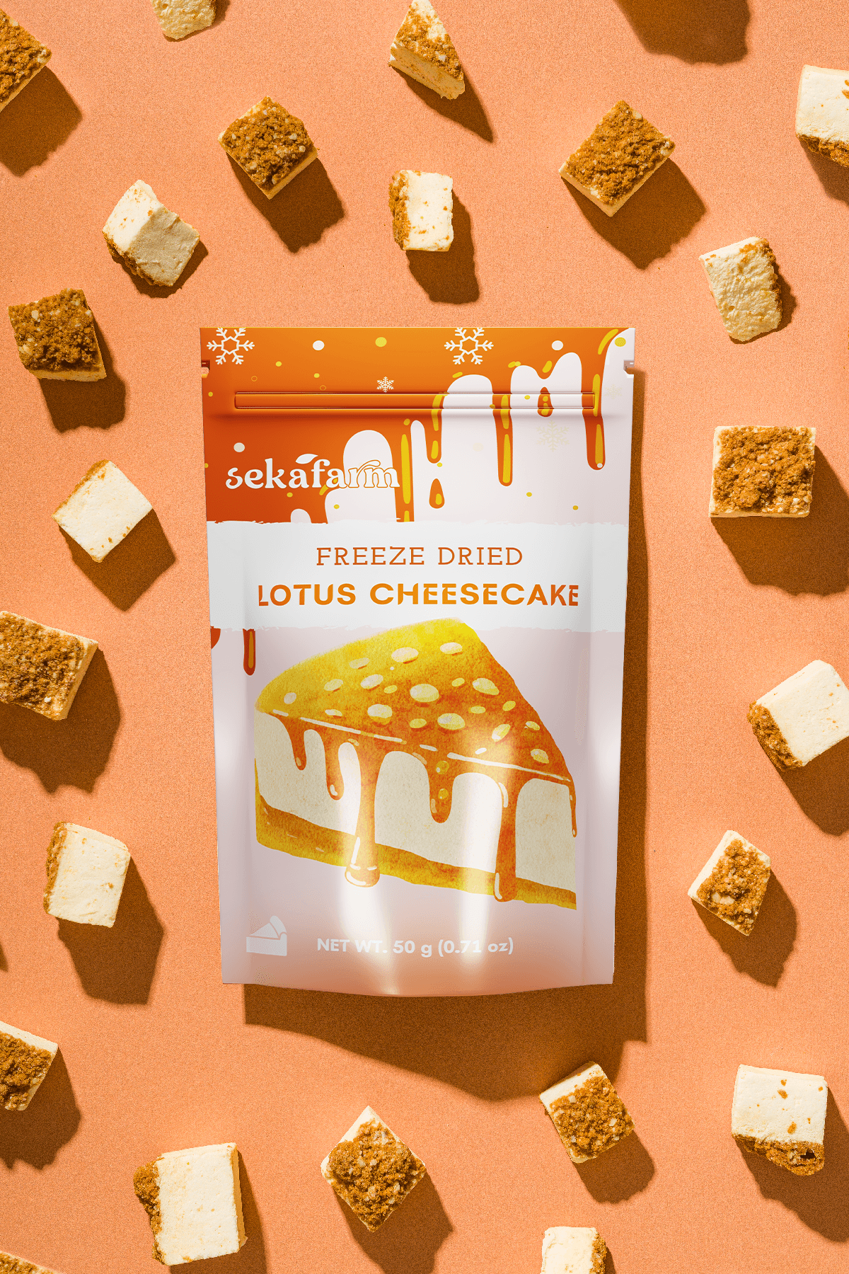 Dondurularak Kurutulmuş Lotus Cheesecake 50 Gr