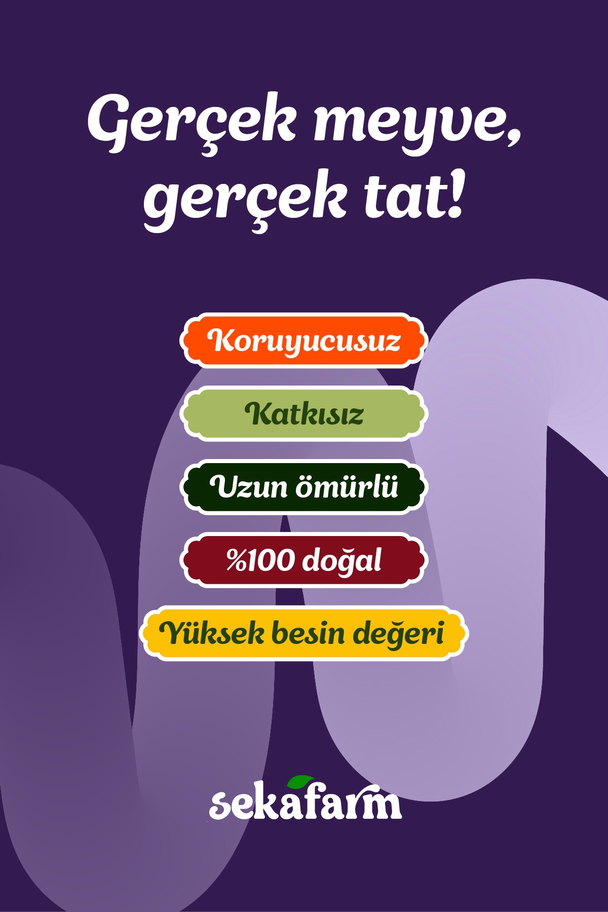Dondurularak Kurutulmuş Böğürtlen 
