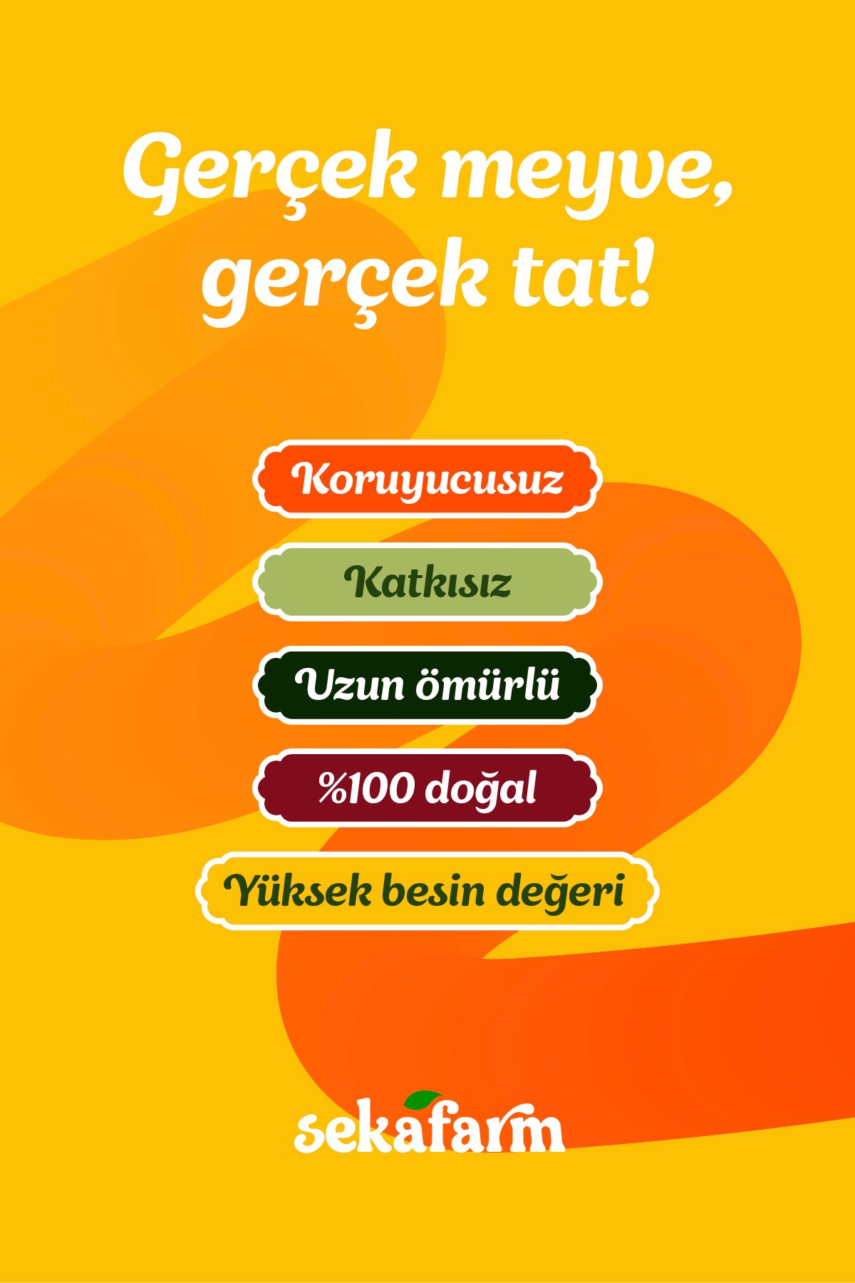 Dondurularak Kurutulmuş Mango 20 Gr
