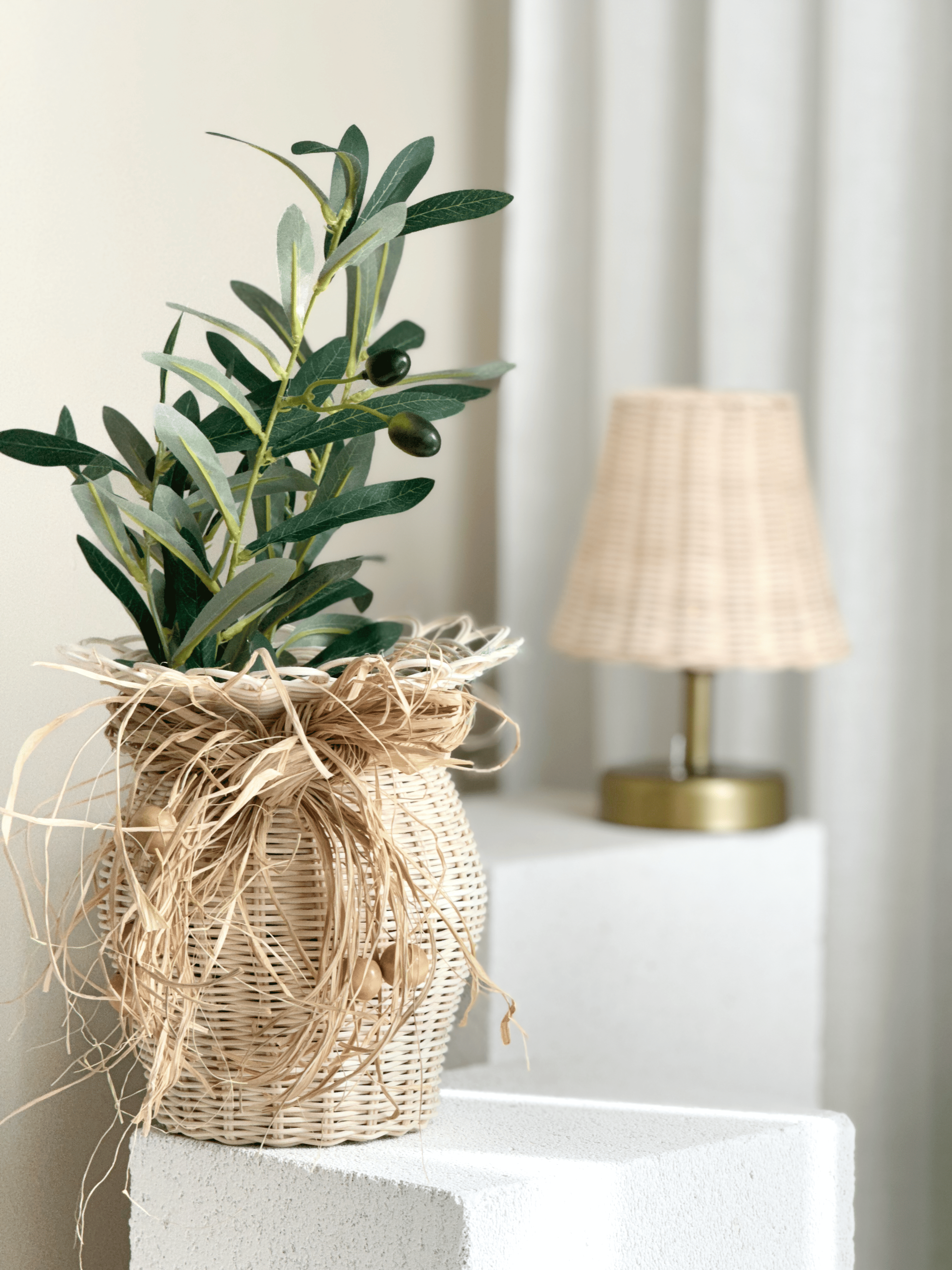 2'li Rattan El Yapımı Vazo & Zeytin Dalı Set (ÇİÇEK DAHİLDİR)