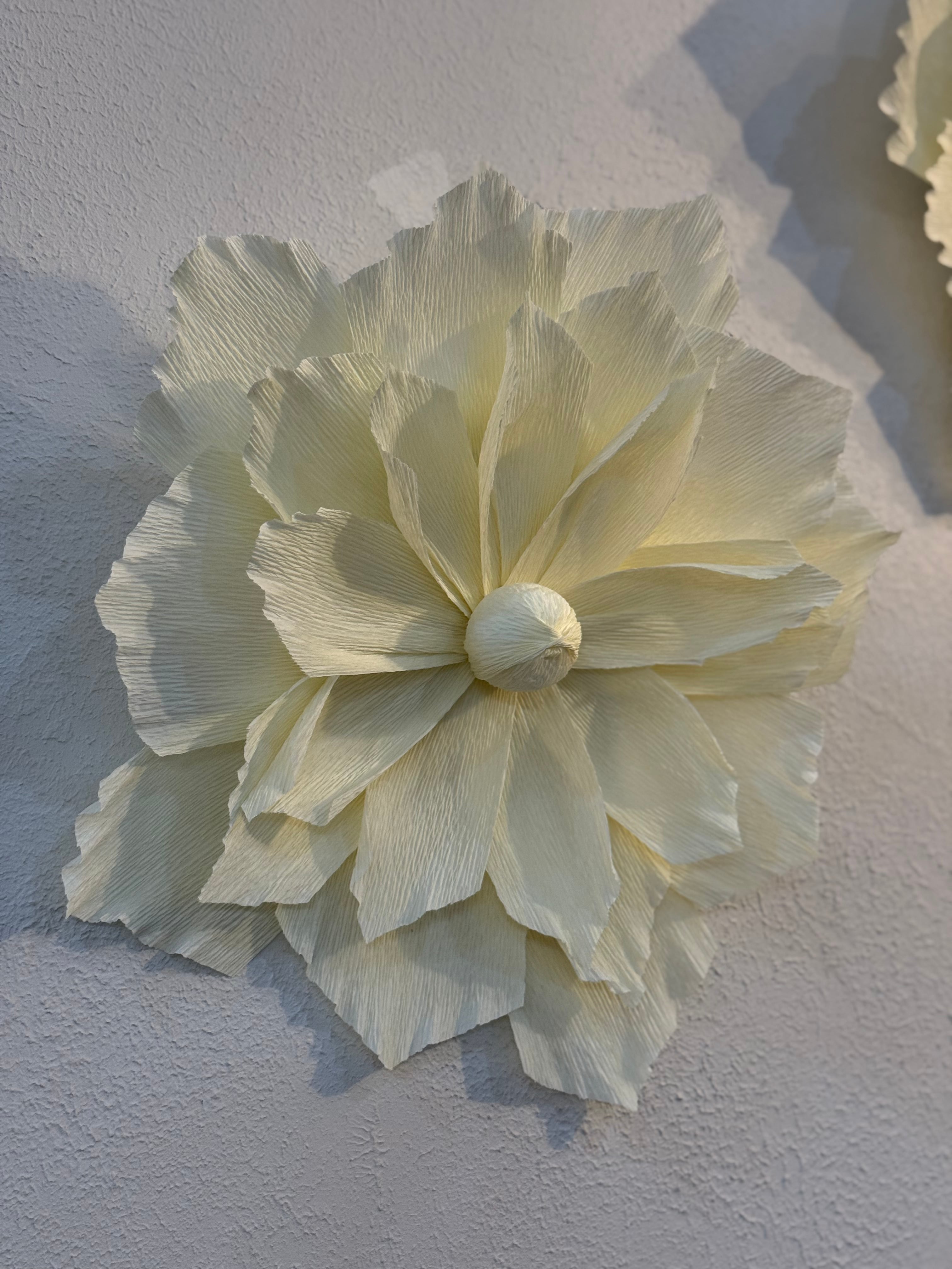 2-Piece Soft Italian Crepe Paper Wall Decoration Set