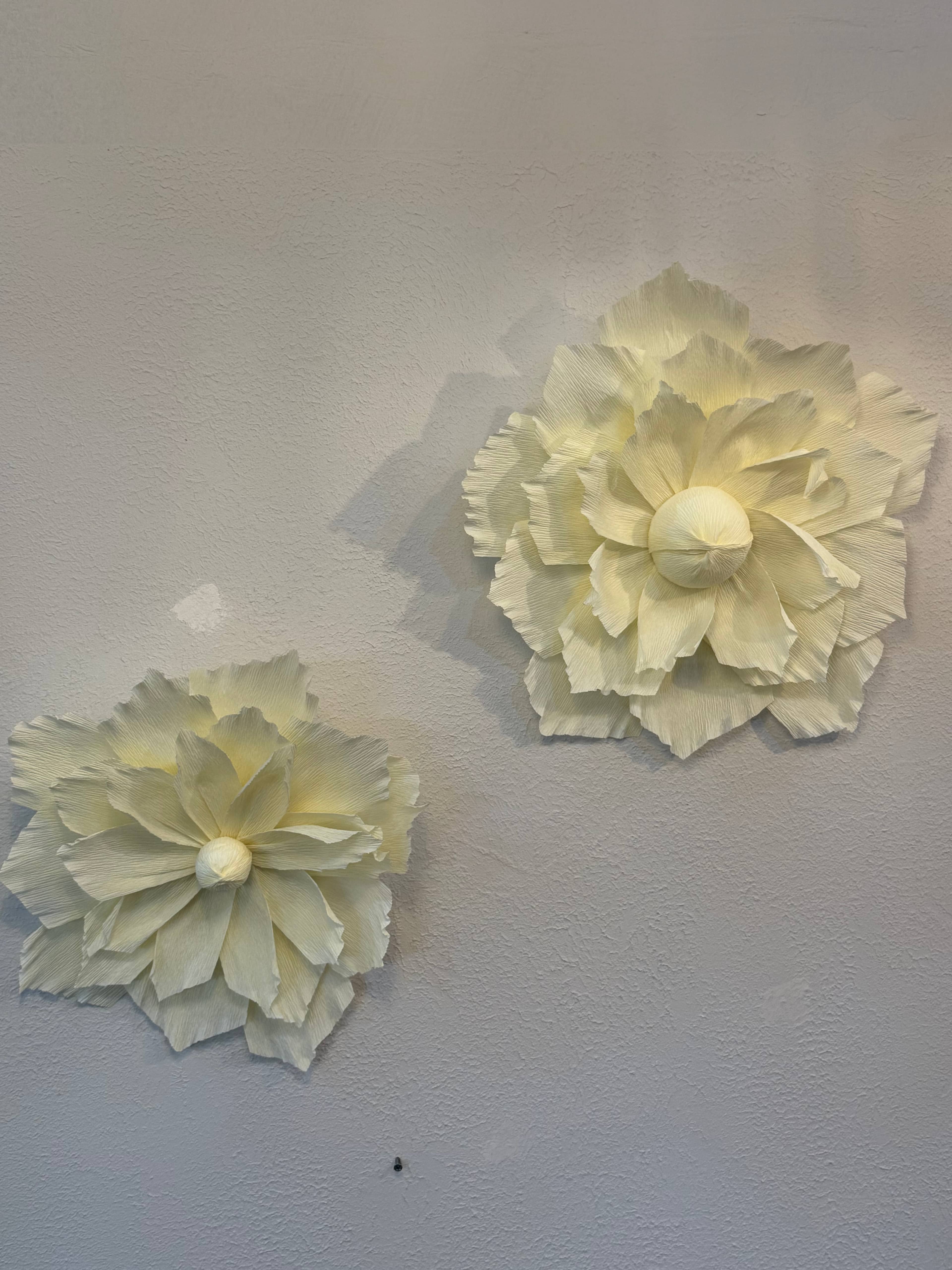 2-Piece Soft Italian Crepe Paper Wall Decoration Set