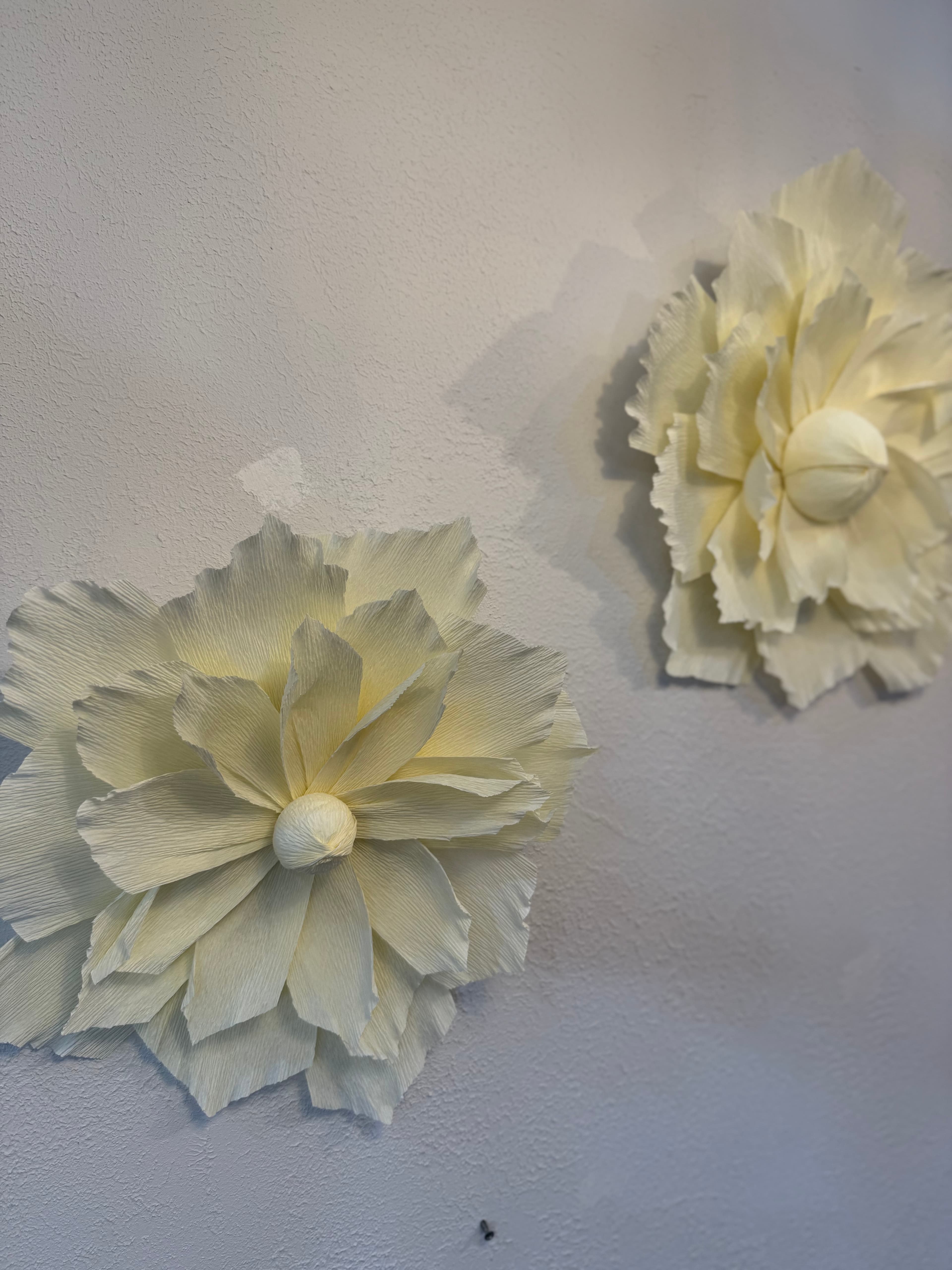 2-Piece Soft Italian Crepe Paper Wall Decoration Set