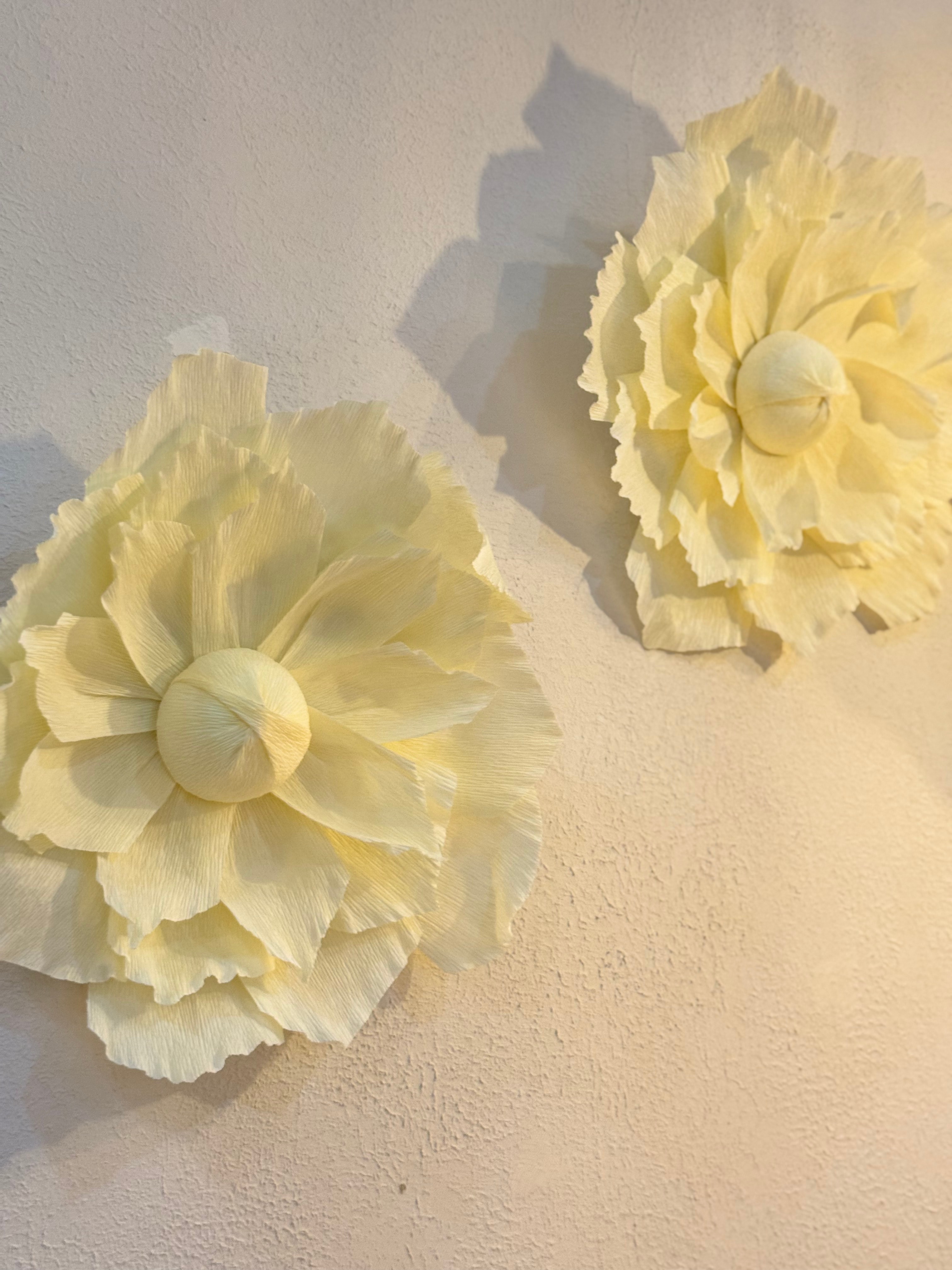 2-Piece Soft Italian Crepe Paper Wall Decoration Set - Cream