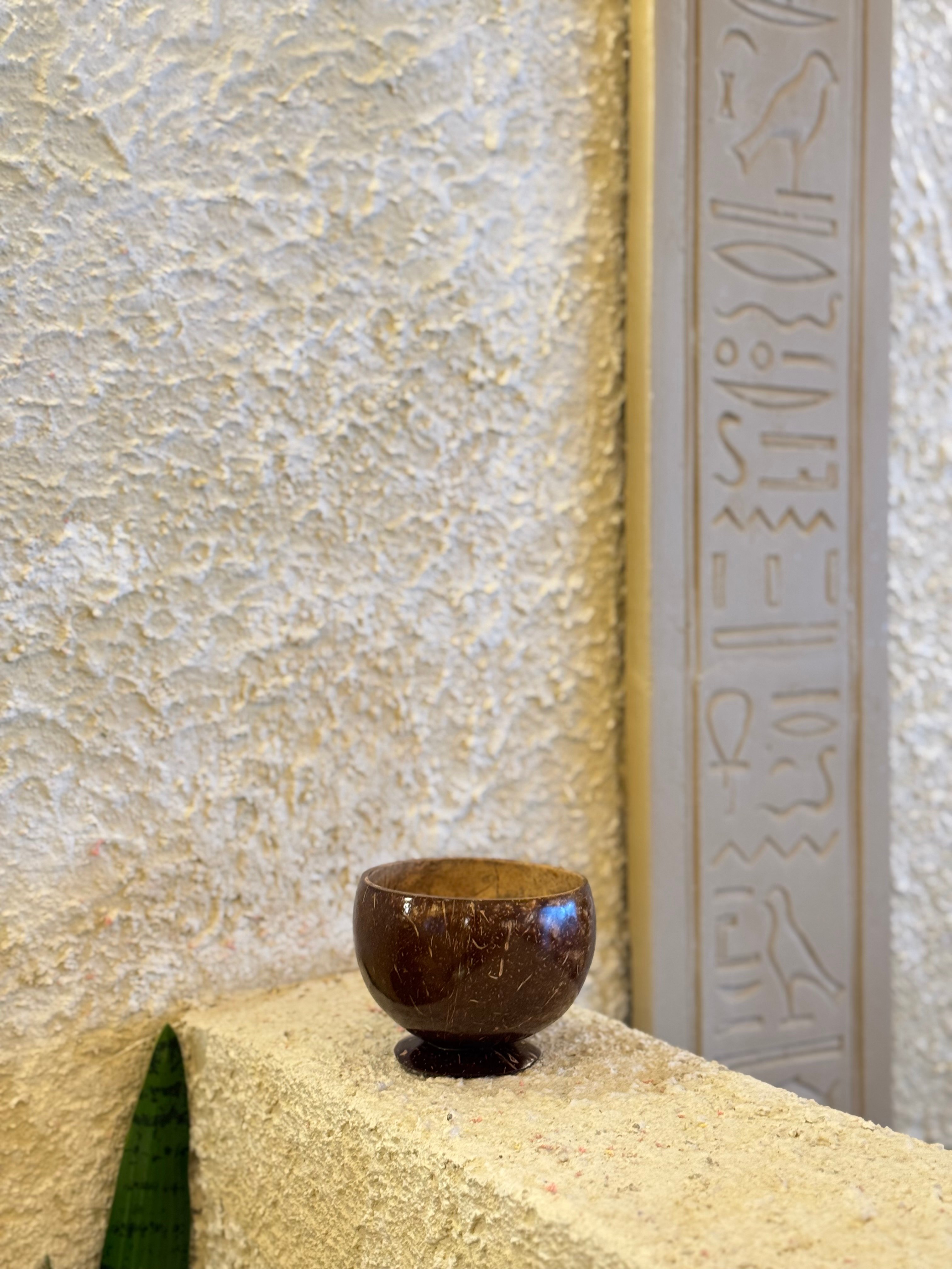 Hindistan Cevizi Kabuğu Kase Coconut Bowl
