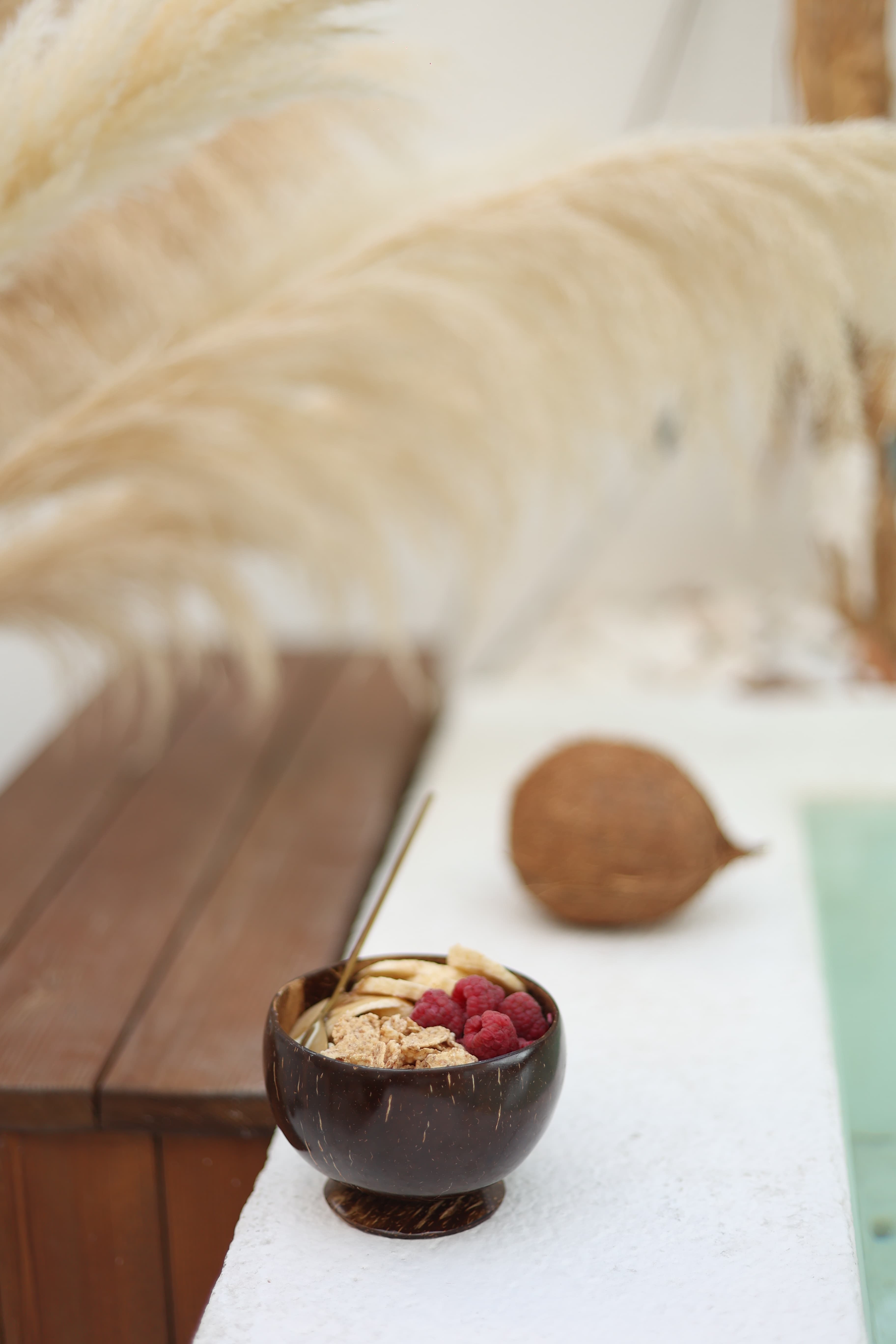 Coconut Shell Bowl Coconut Bowl
