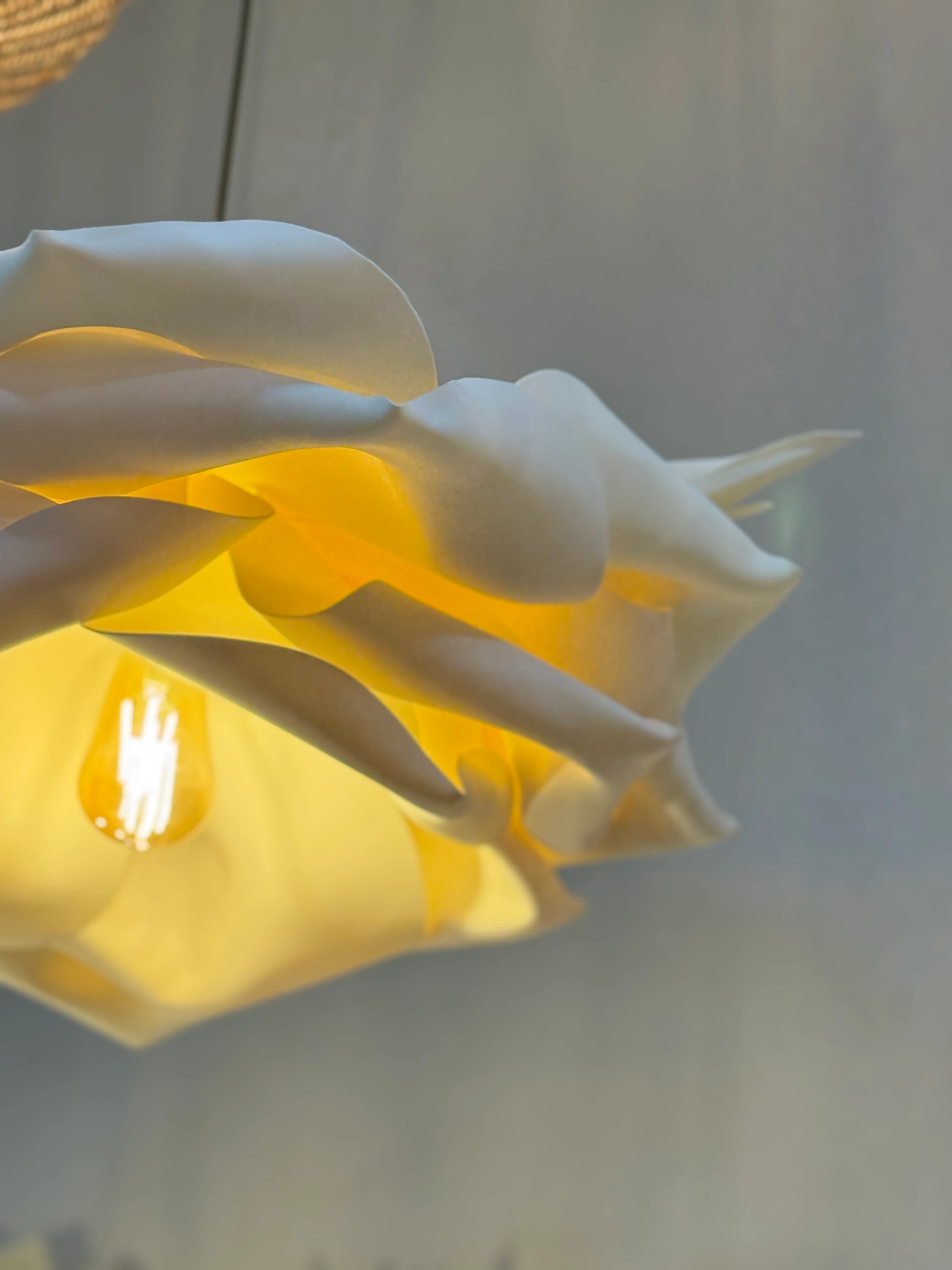 Vehha Tasarım Eva Modern Sarkıt Avize