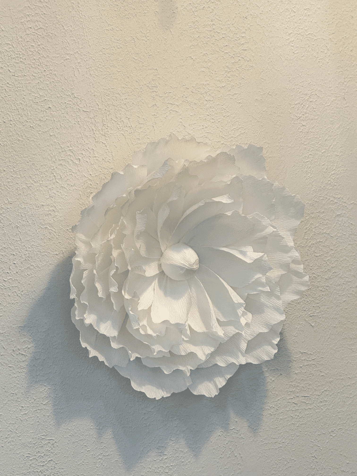 2-Piece Soft Italian Crepe Paper Wall Decoration Set