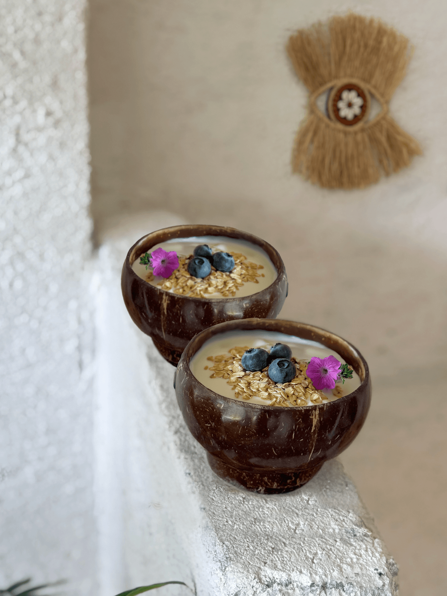 2'li Hindistan Cevizi Kabuğu Bowl Kasesi