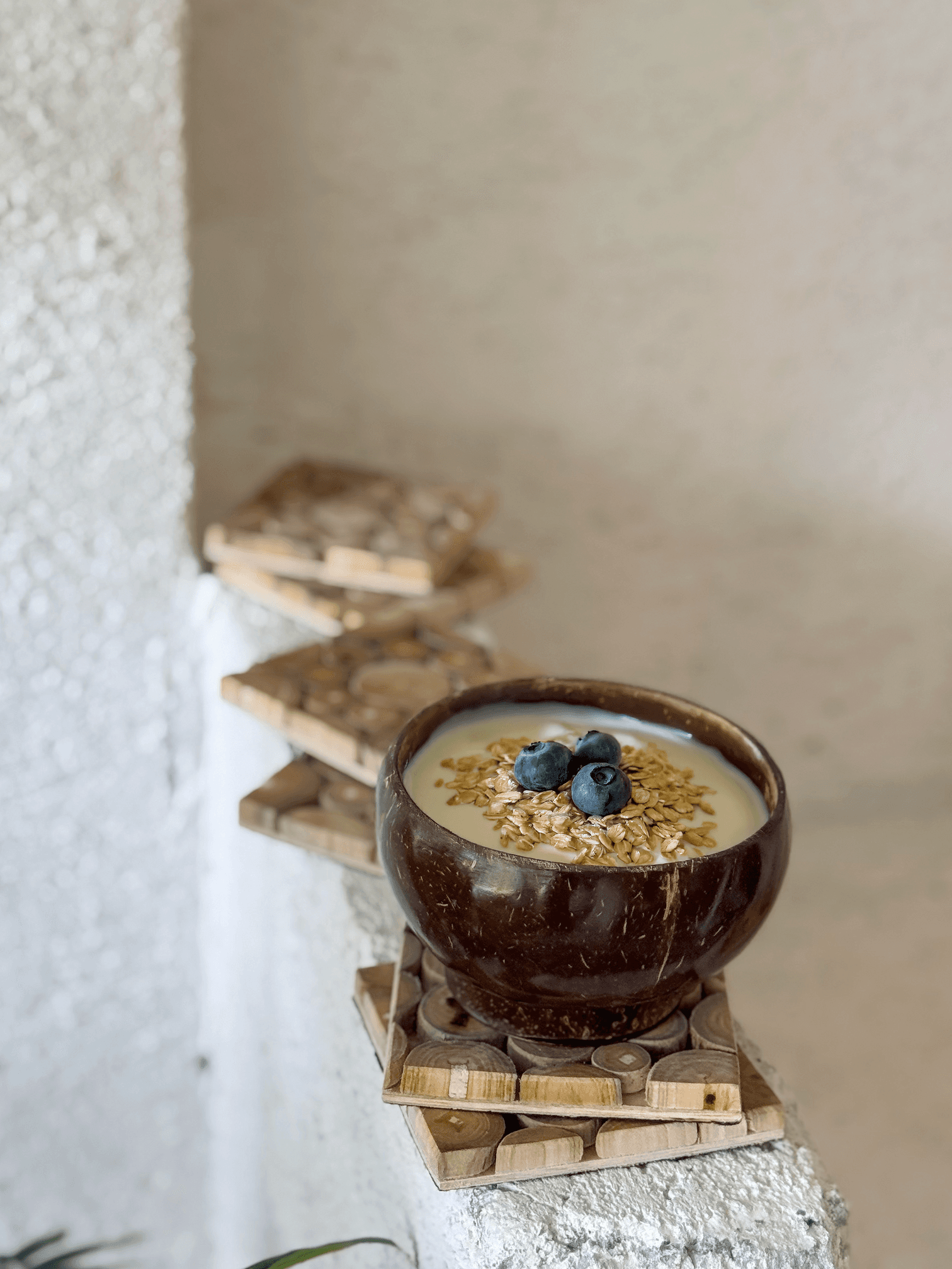 Hindistan Cevizi Kabuğu Kase Coconut Bowl