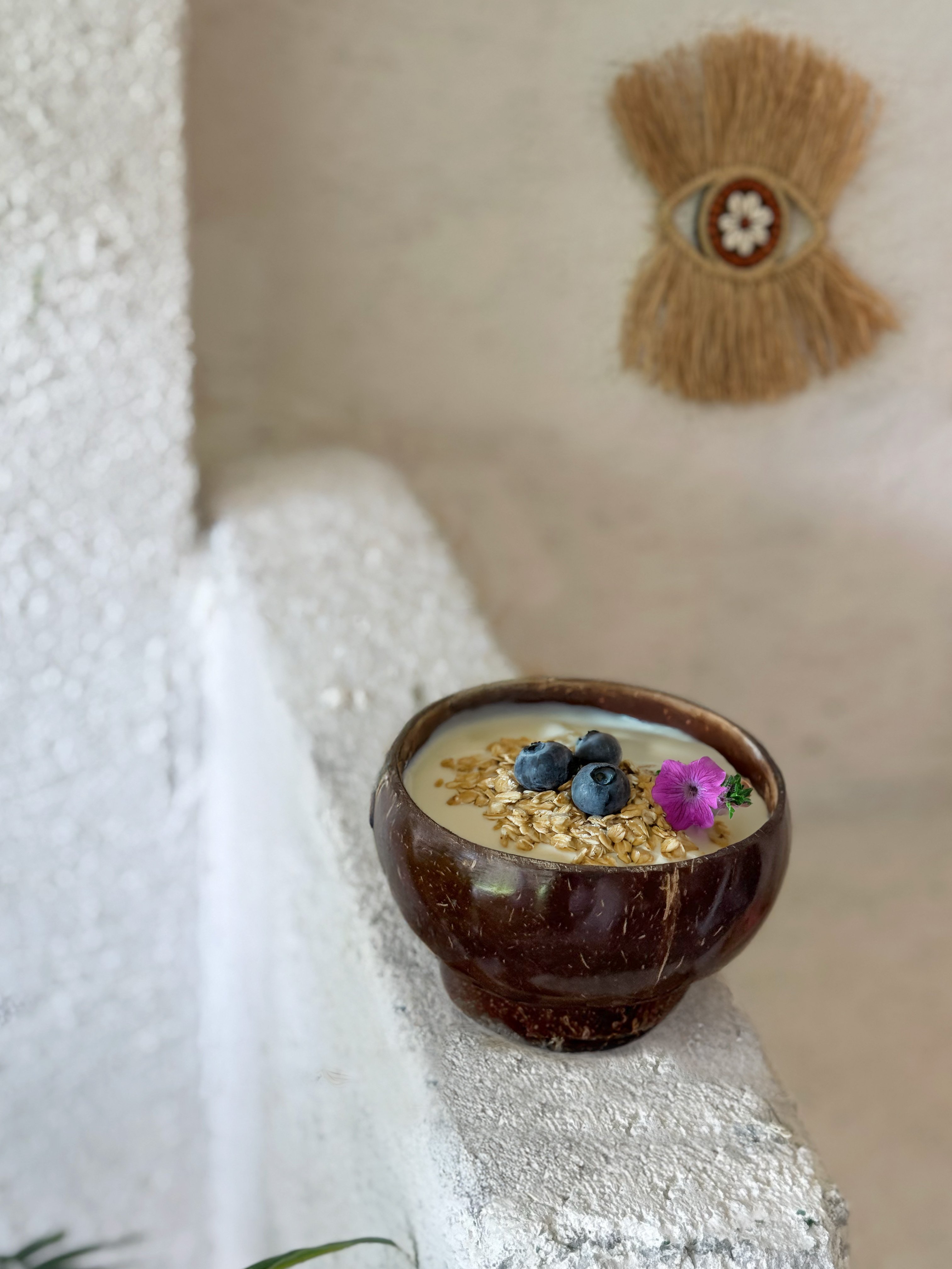 Hindistan Cevizi Kabuğu Kase Coconut Bowl