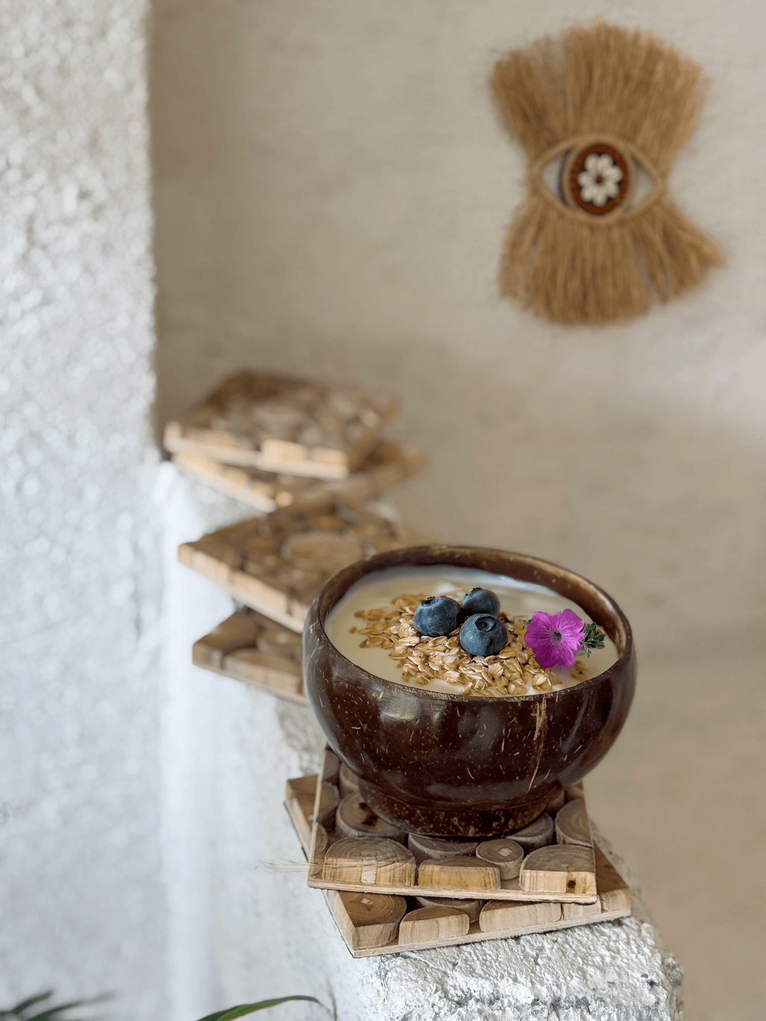 Hindistan Cevizi Kabuğu Kase Coconut Bowl
