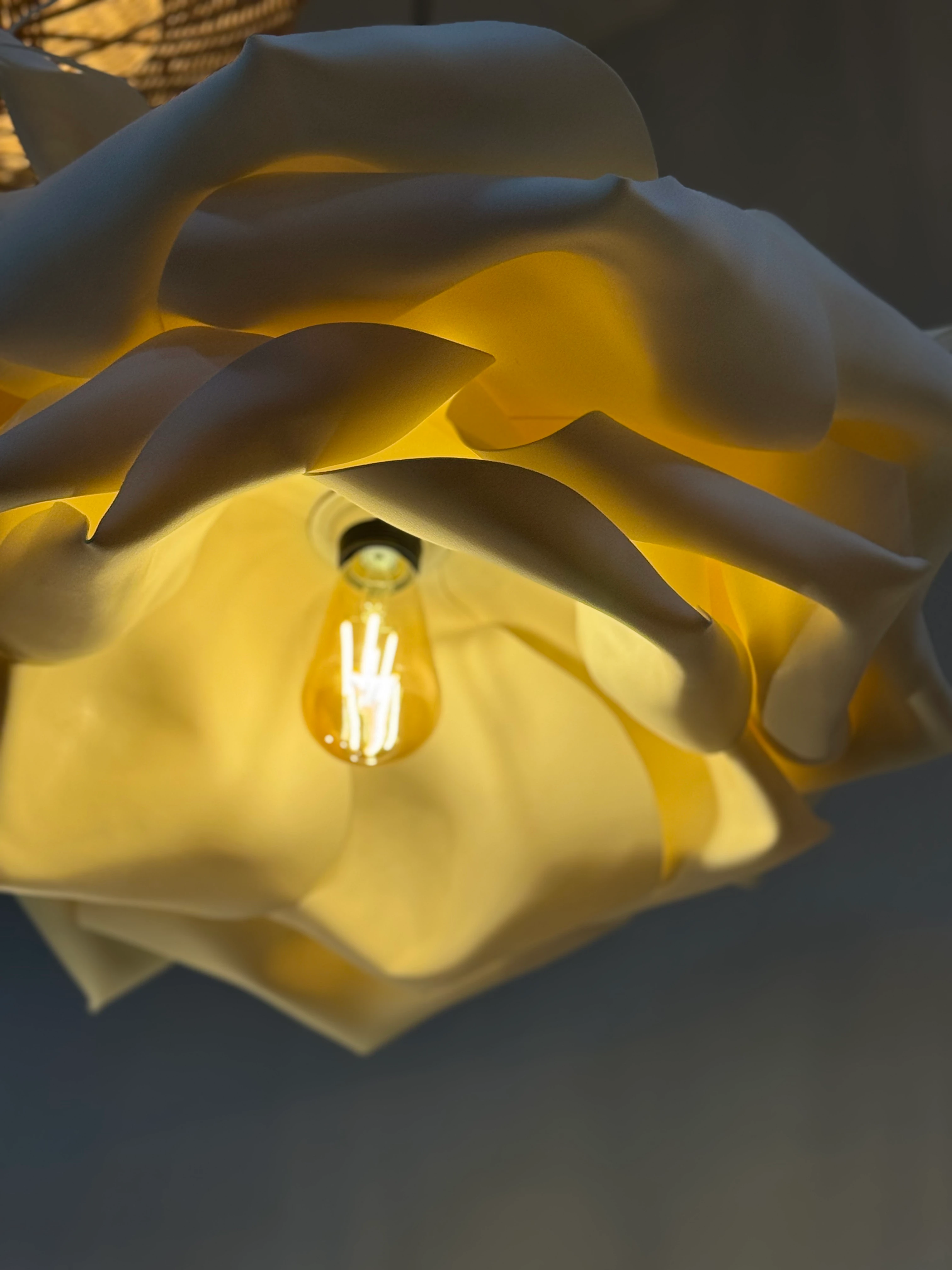 Vehha Tasarım Eva Modern Sarkıt Avize