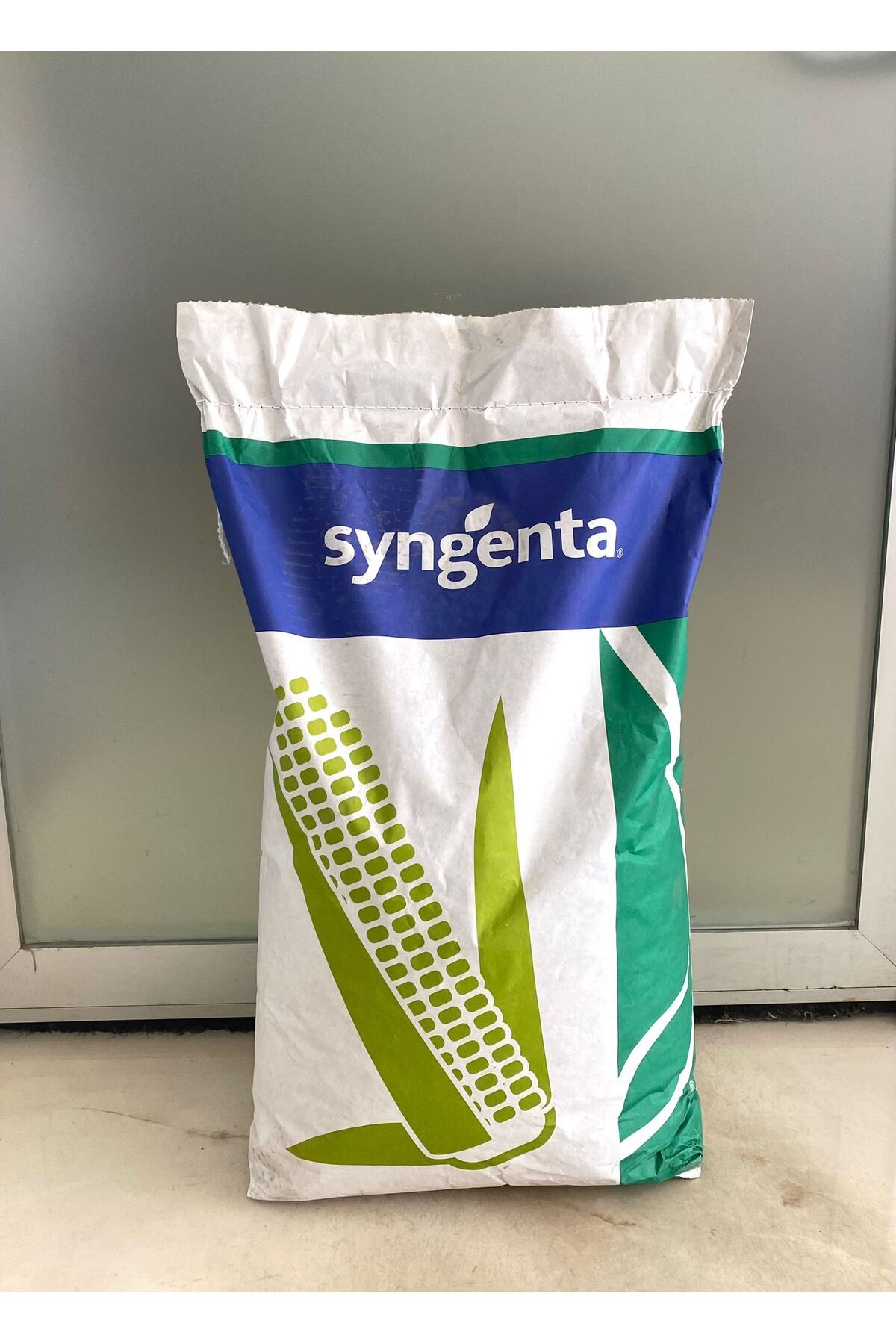 CORN SEED SY-BAMBUS ( MAXIM QUATTRO + VIBRANCE + FORTENZA DUO)