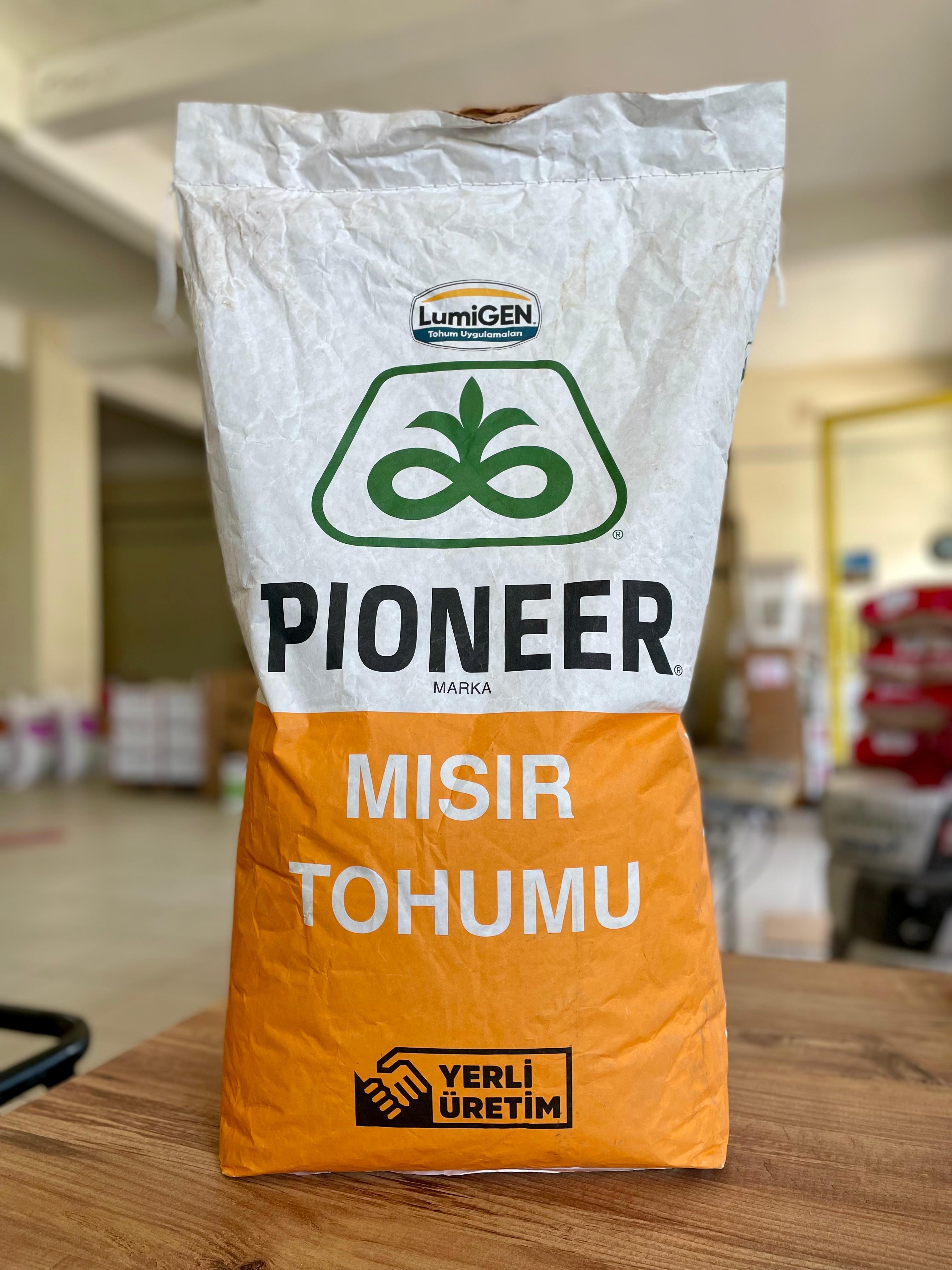 MISIR TOHUMU PR 31 G98