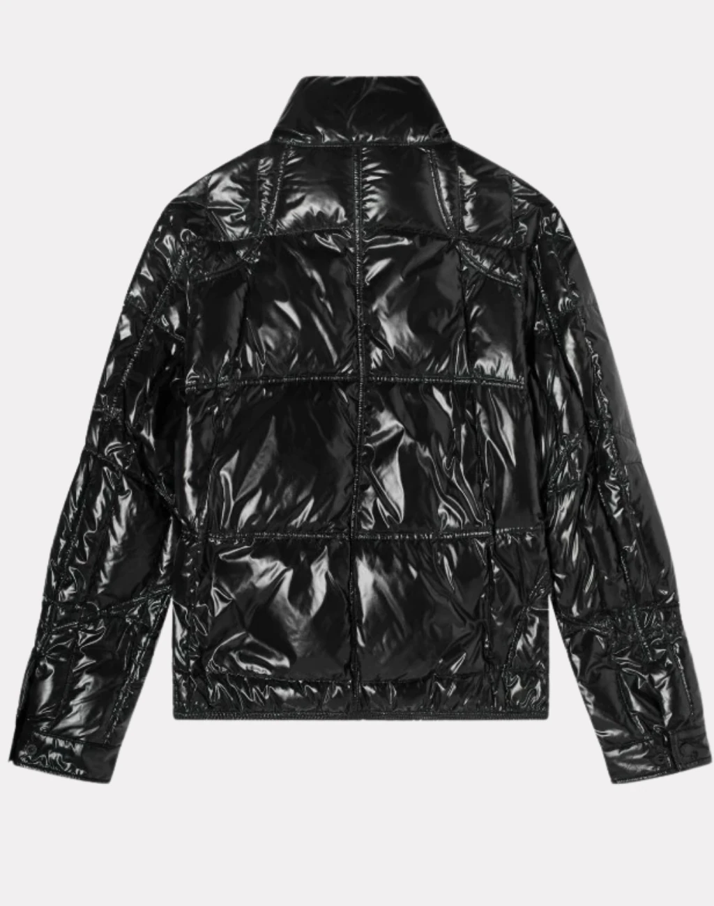 Tevel Parlak Kumaş Kaztüyü Erkek Mont