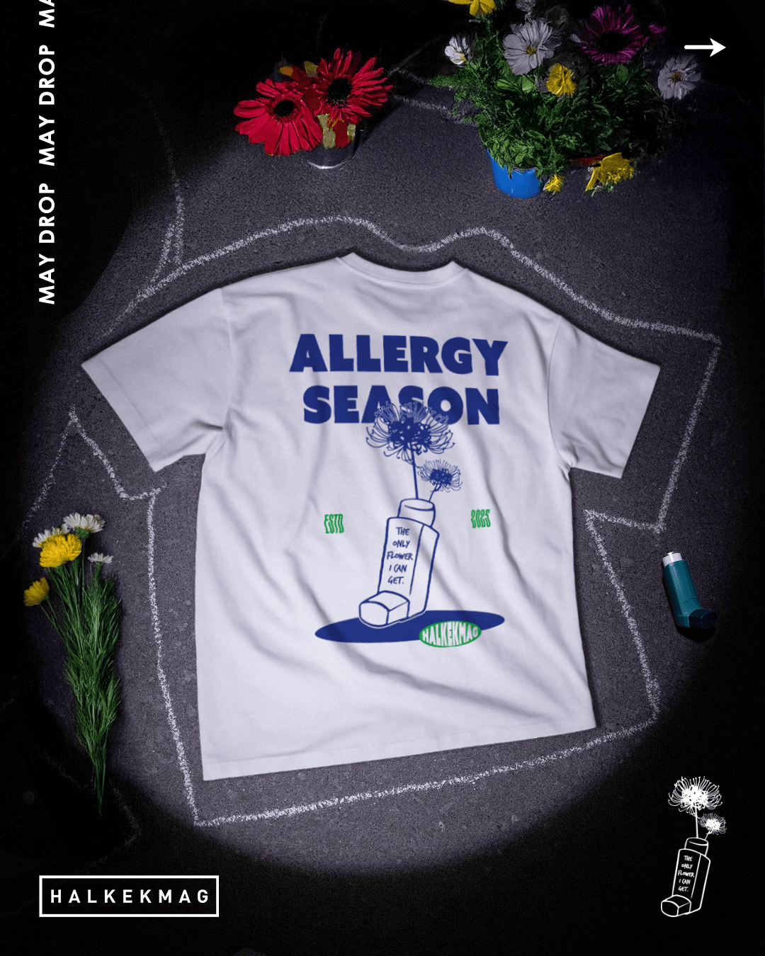 Allergy Season