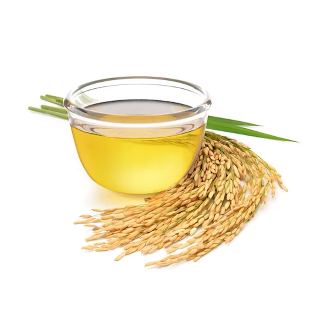 Oryza Sativa