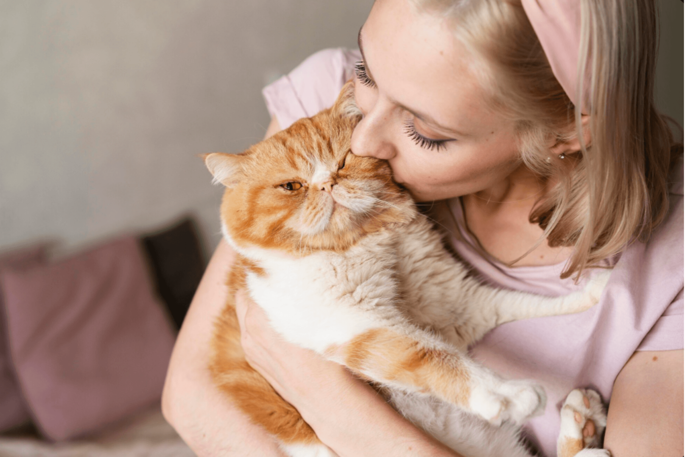 Kedi Sahiplenirken Bilinmesi Gerekenler