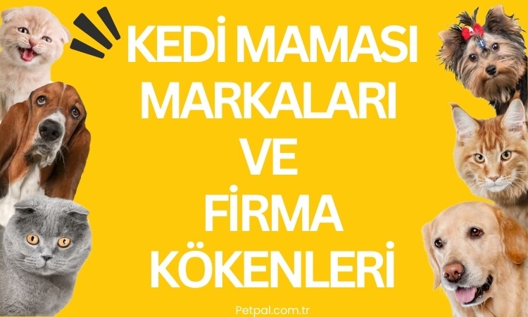 kedi maması markaları ve firma kökenleri