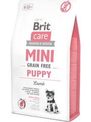 Brit