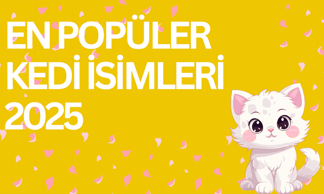 En Popüler Kedi İsimleri 2025