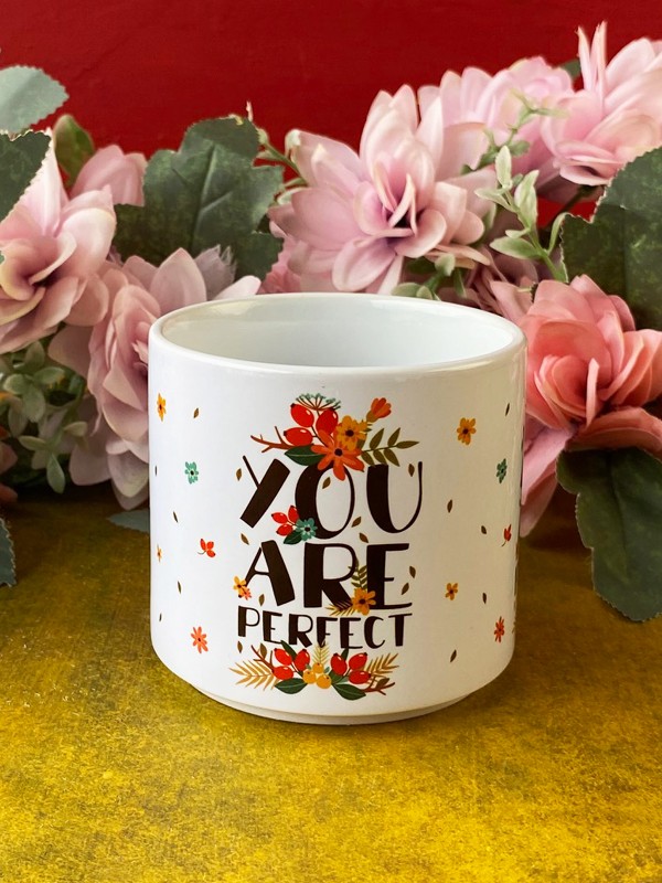 Kutuda Çikolatalı "You Are Perfect" Kupası, Arkadaşa Hediye, Doğum Günü Hediyesi