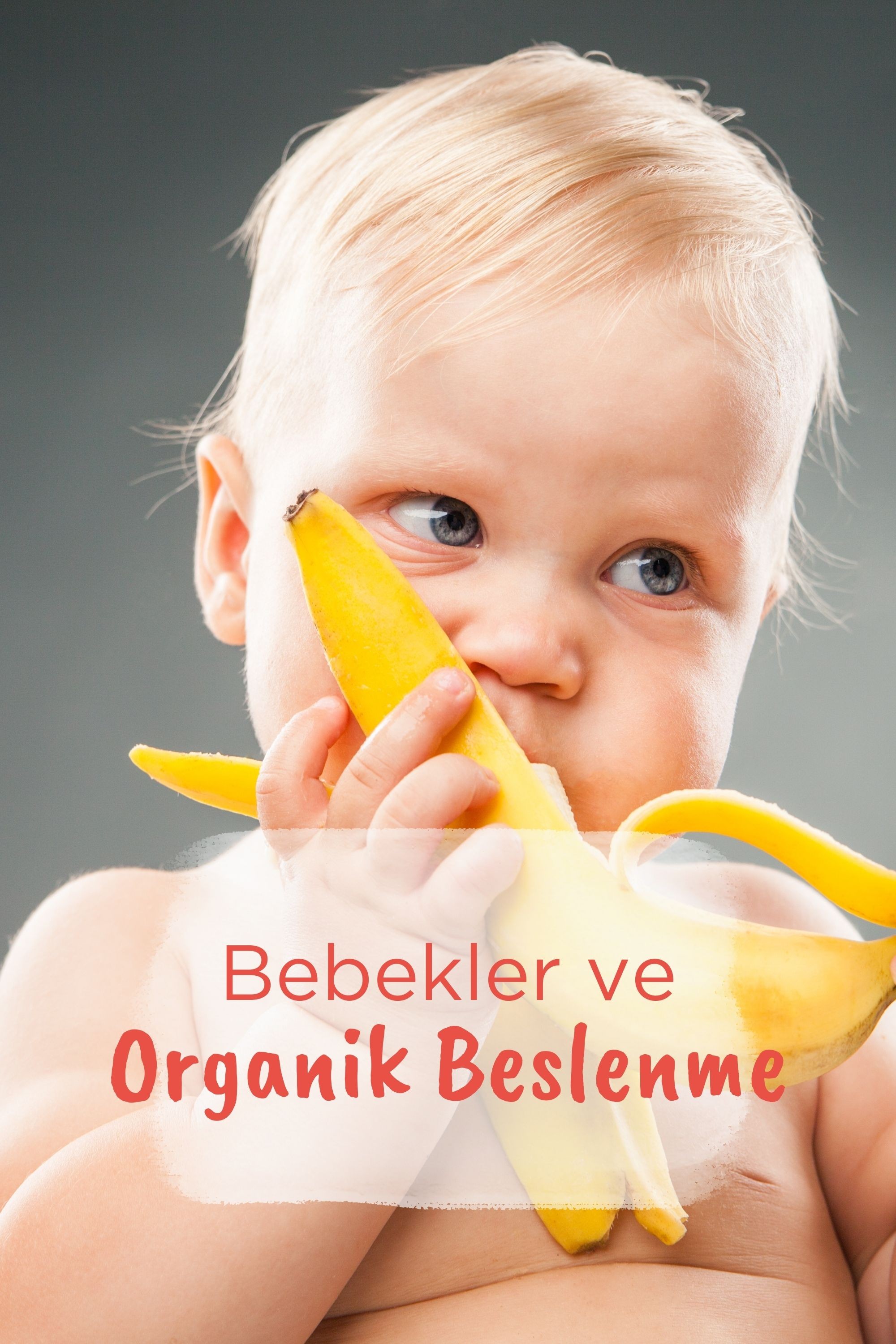 Bebekler ve Organik Beslenme