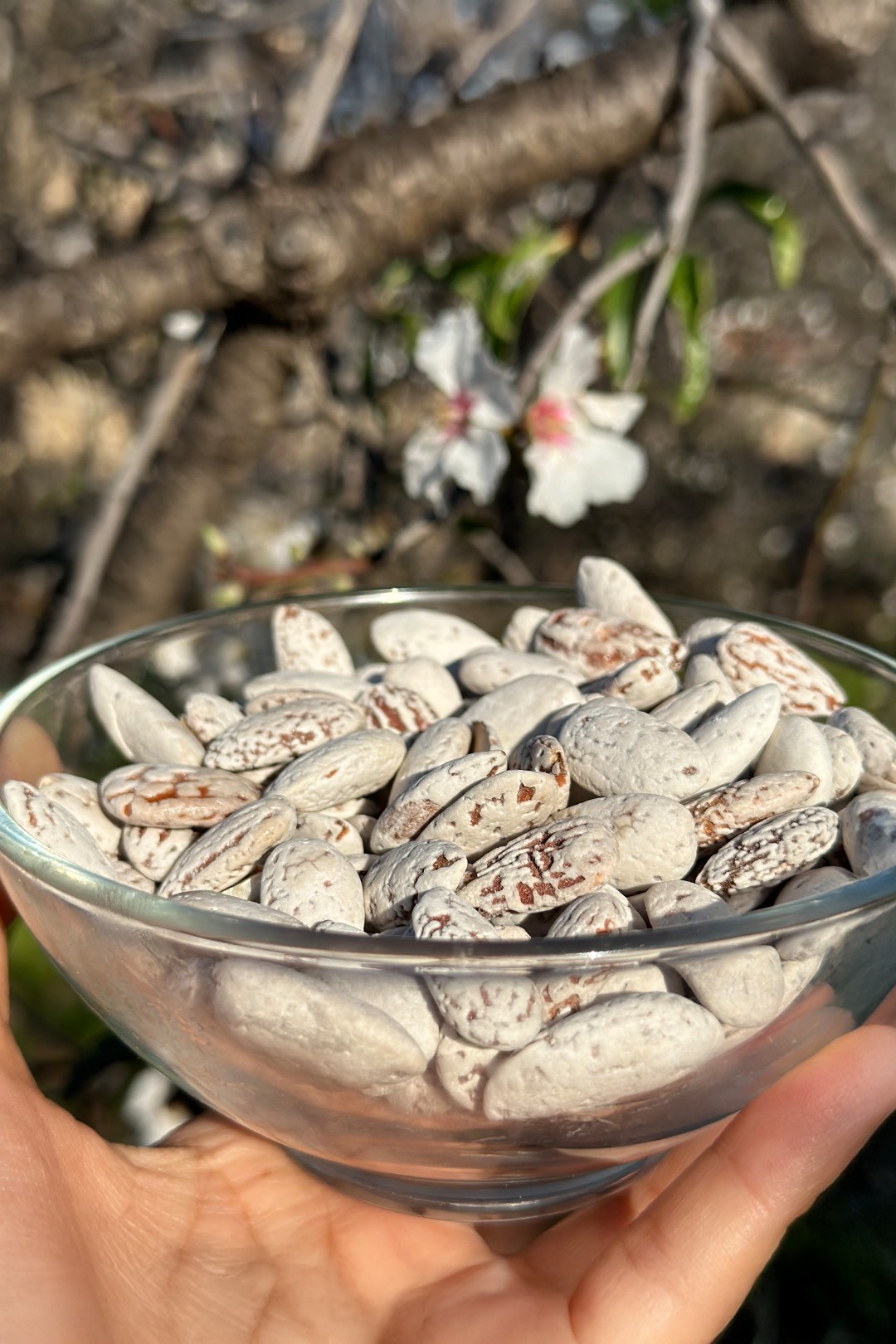 Lebbess Badem Șekeri 200 gr