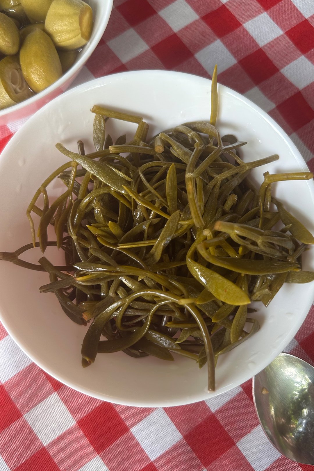 Kaya Koruğu 600 gr