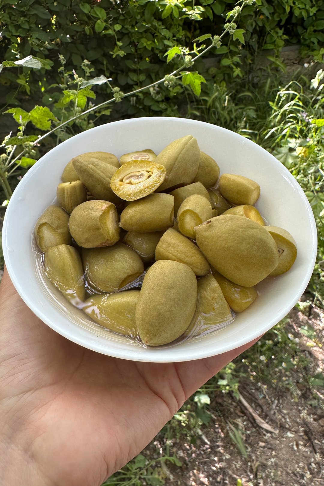 Çağla Badem Turşusu 620 gr 