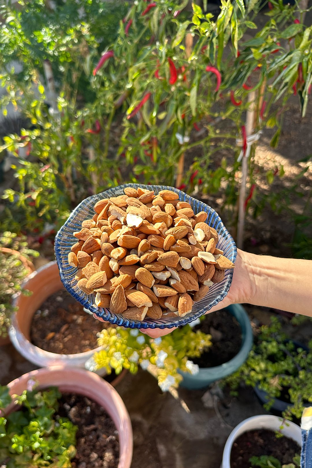Kırık Badem