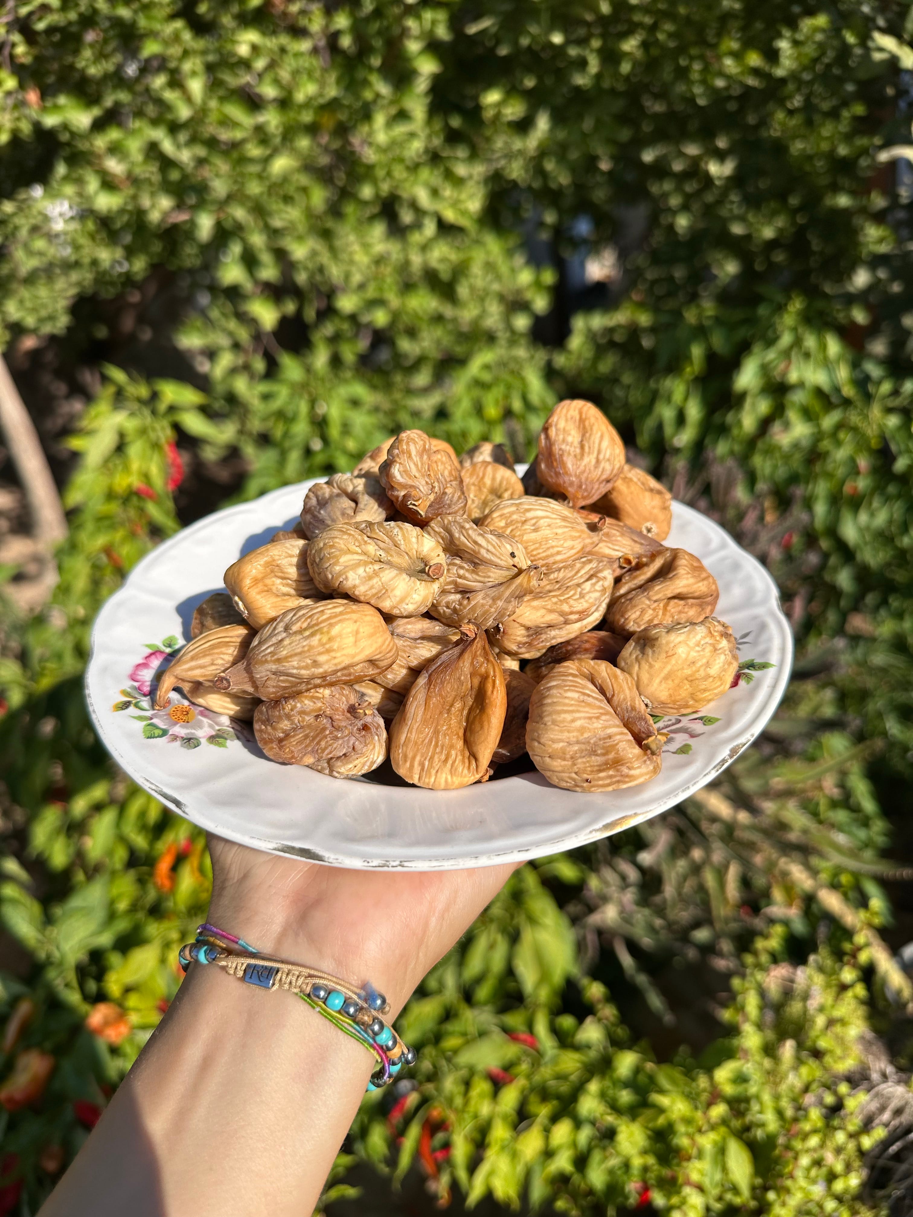 Duble Dağ İnciri 