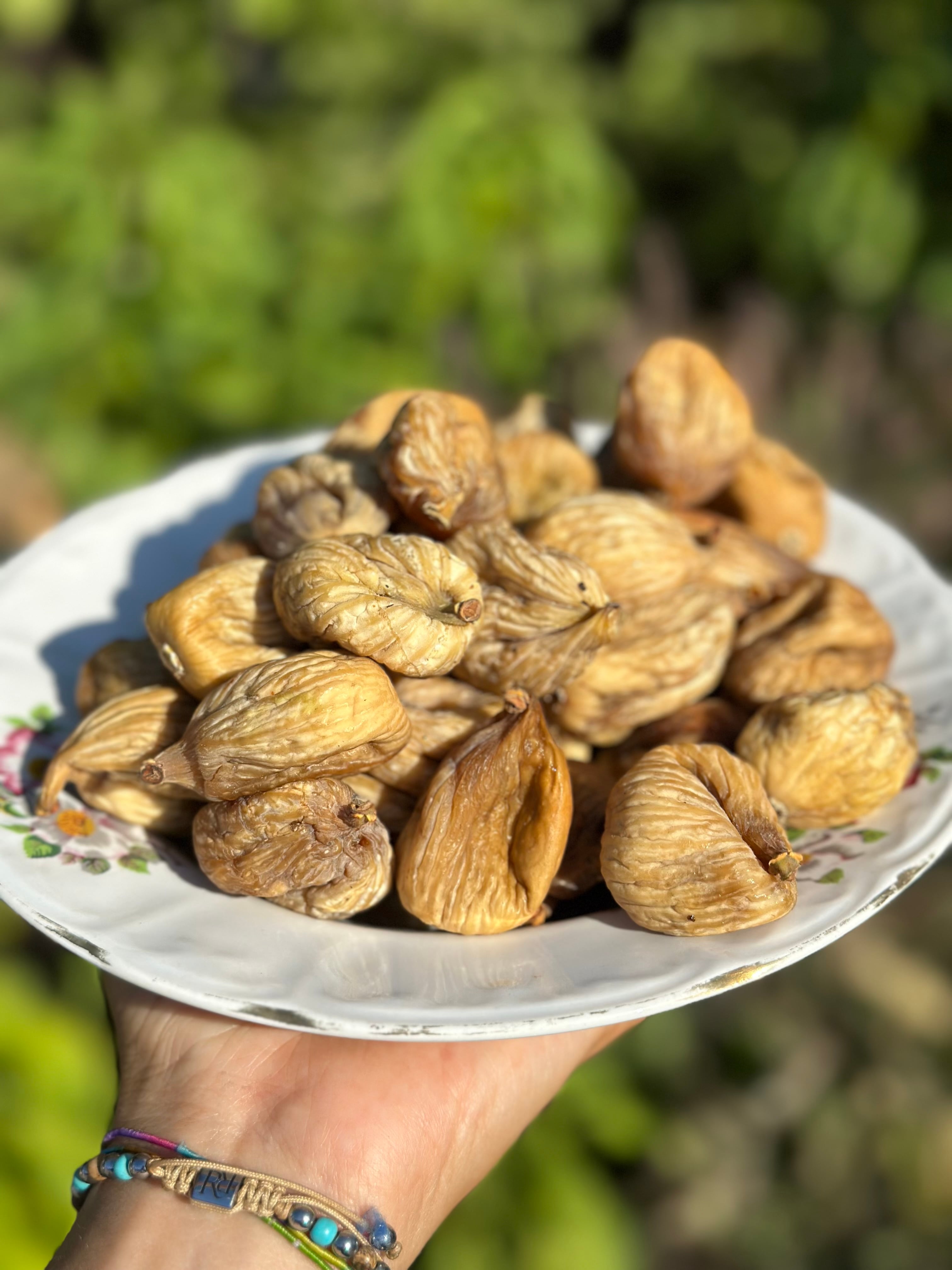Duble Dağ İnciri 