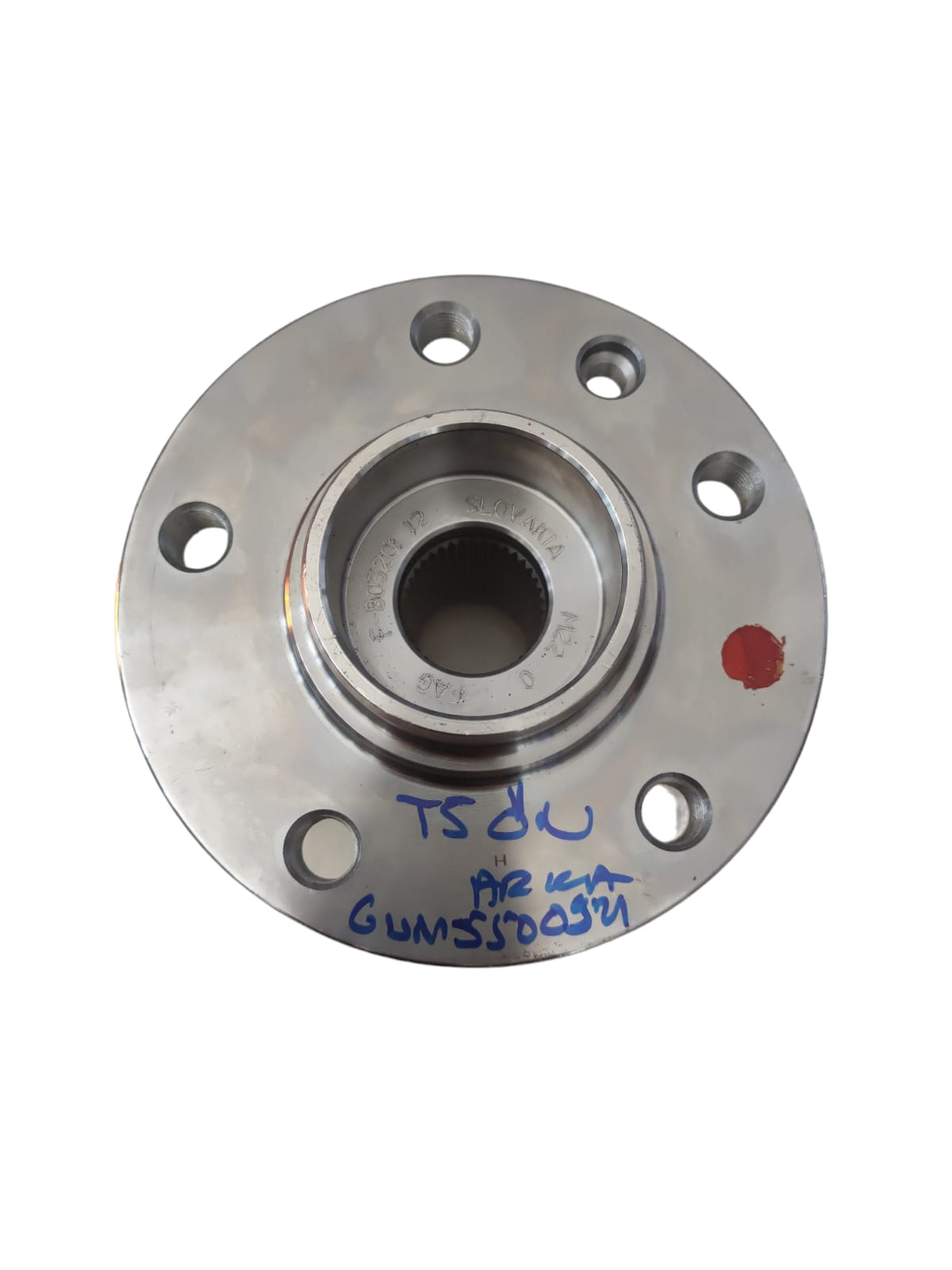 ÖN ARKA PORYA T5-T6 04>