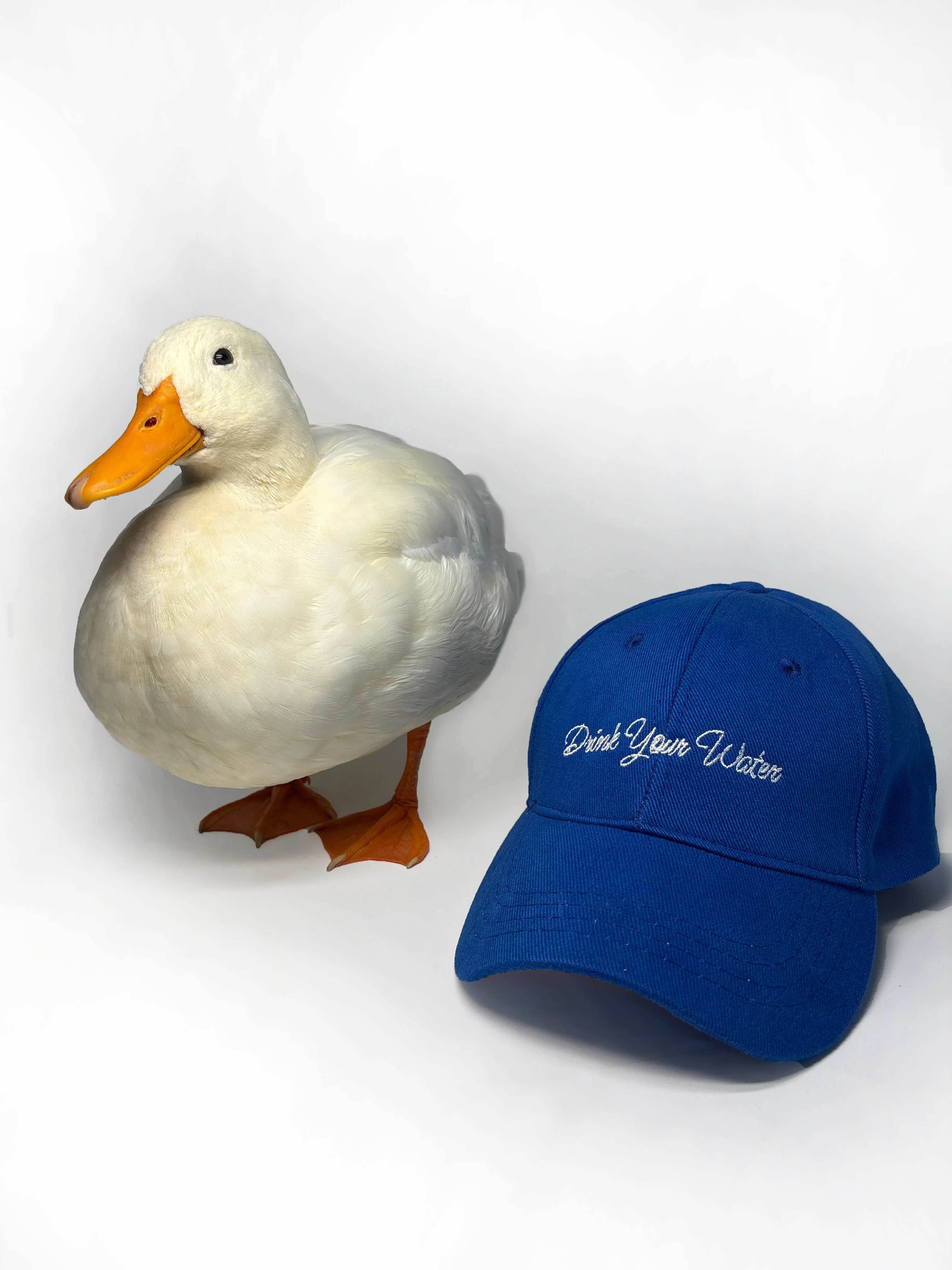 Drink Your Water | That's What Eddie Said - Series