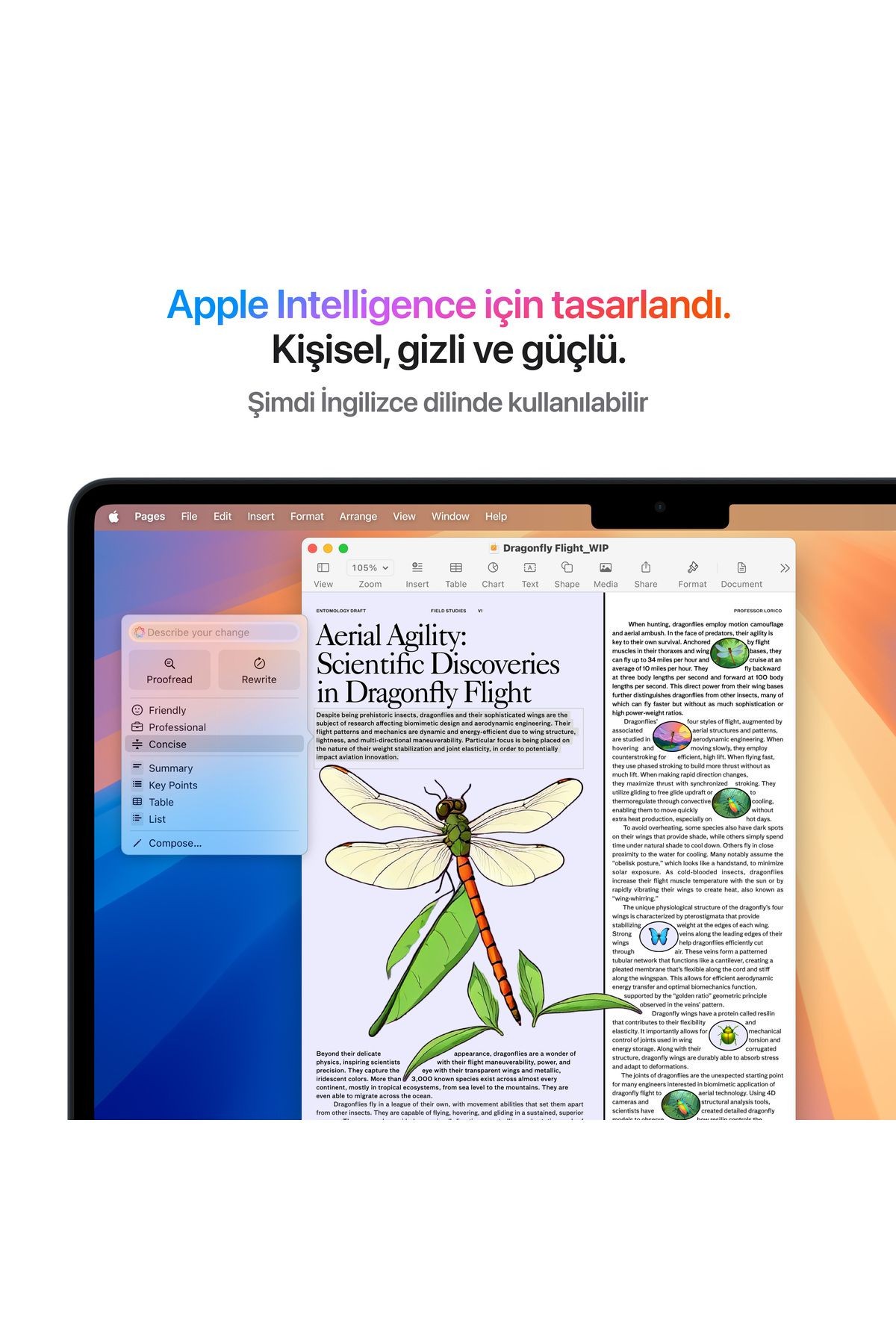 13" MacBook Air: Apple M4 chip with 10-core CPU and 8-core GPU, 16GB, 256GB SSD - Gece Yarısı