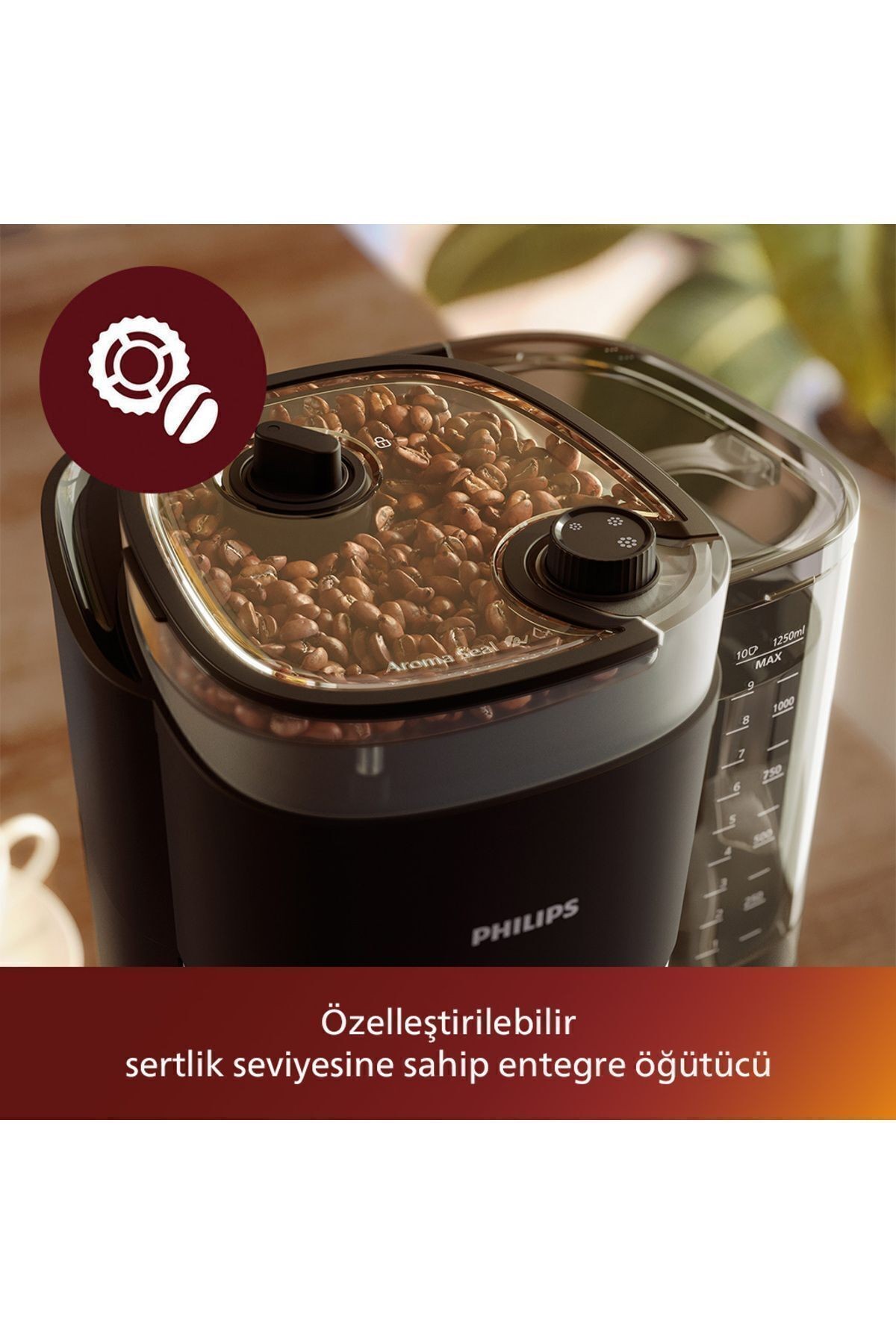 All-In-1 Brew Öğütücülü Filtre Kahve Makinesi, Kahve Çekirdeği Haznesi, Cam Sürahi, HD7888/01