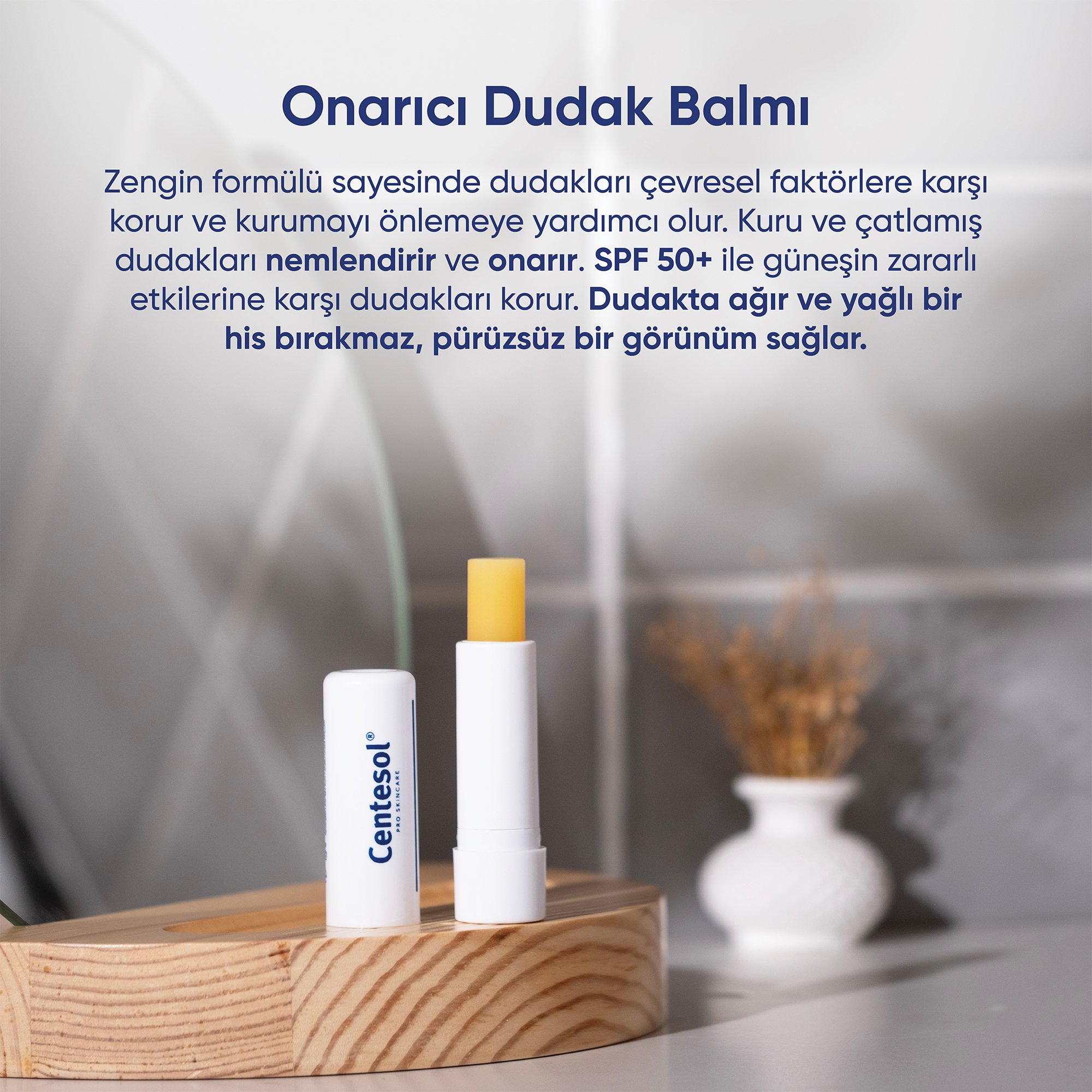 Centesol Onarıcı Dudak Balmı Recovery Lip Balm 4 gr