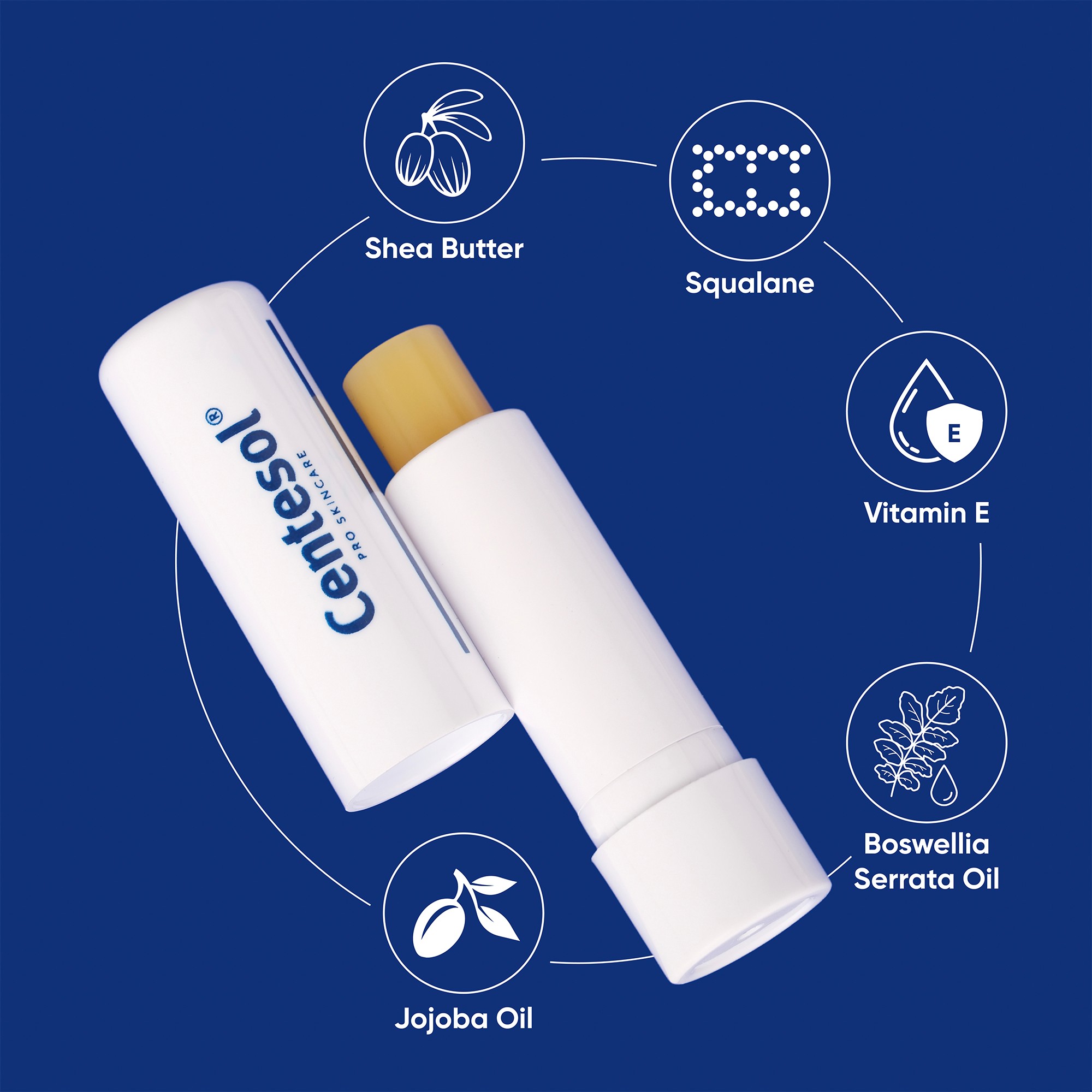 Centesol Onarıcı Dudak Balmı Recovery Lip Balm 4 gr