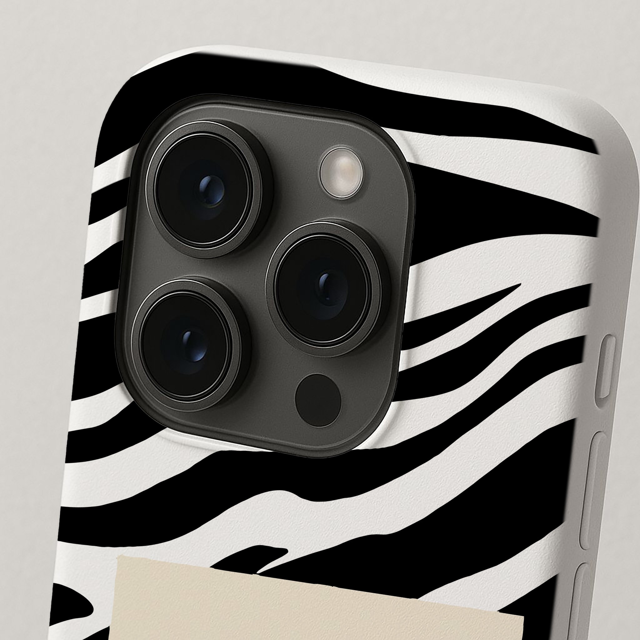 Zebra Kind