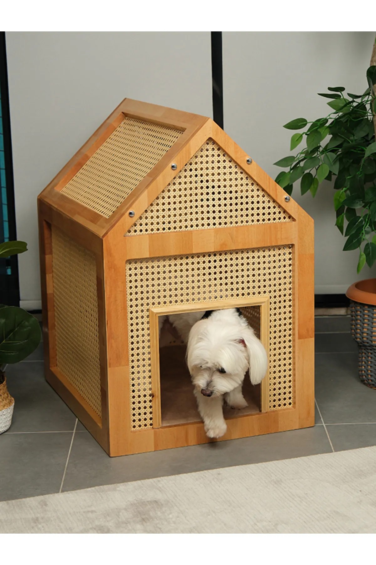 Lizla Beige Luxury Wooden Small Breed Dog House