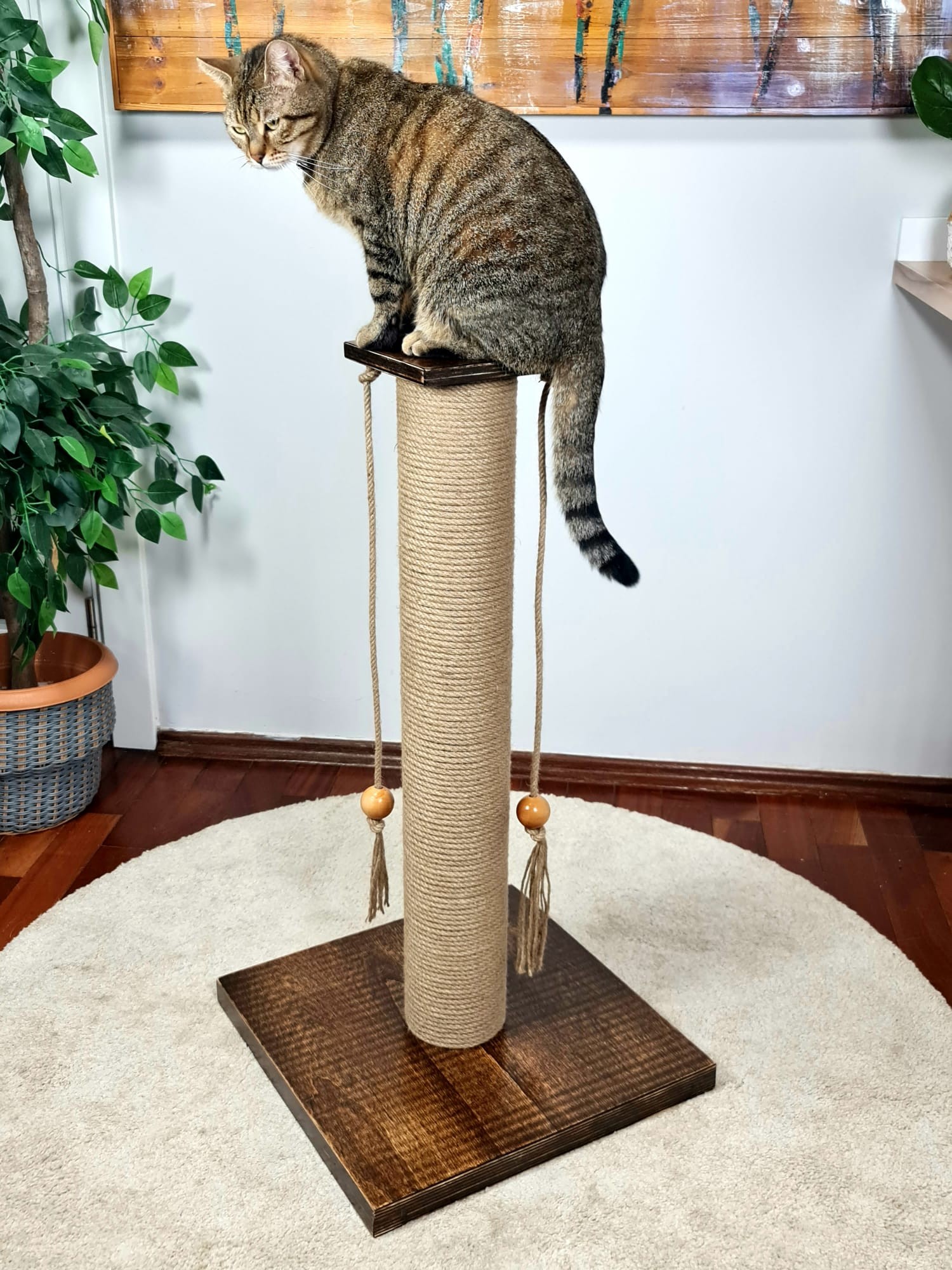 Square 80cm Long Poplar Contra Wood Luxury Cat Scratching Board