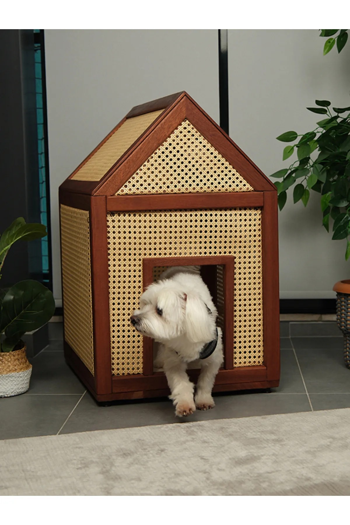 Lizla Luxury Wooden Small Breed Dog House